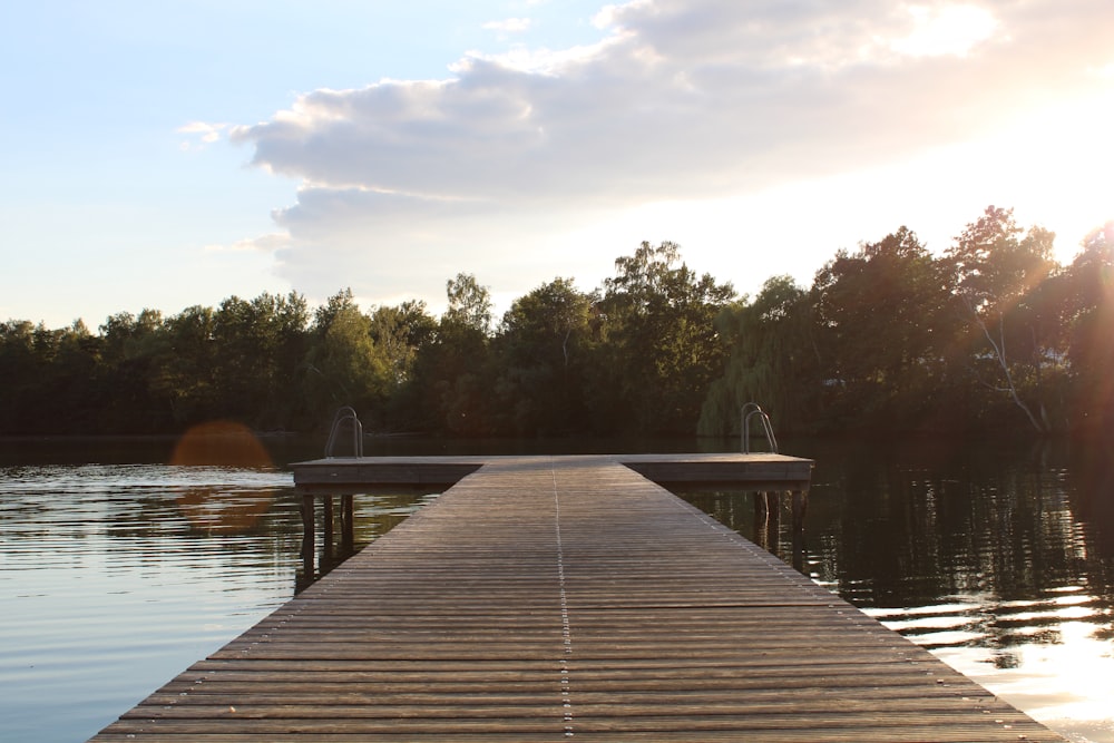 brown wooden dock on lake during daytime