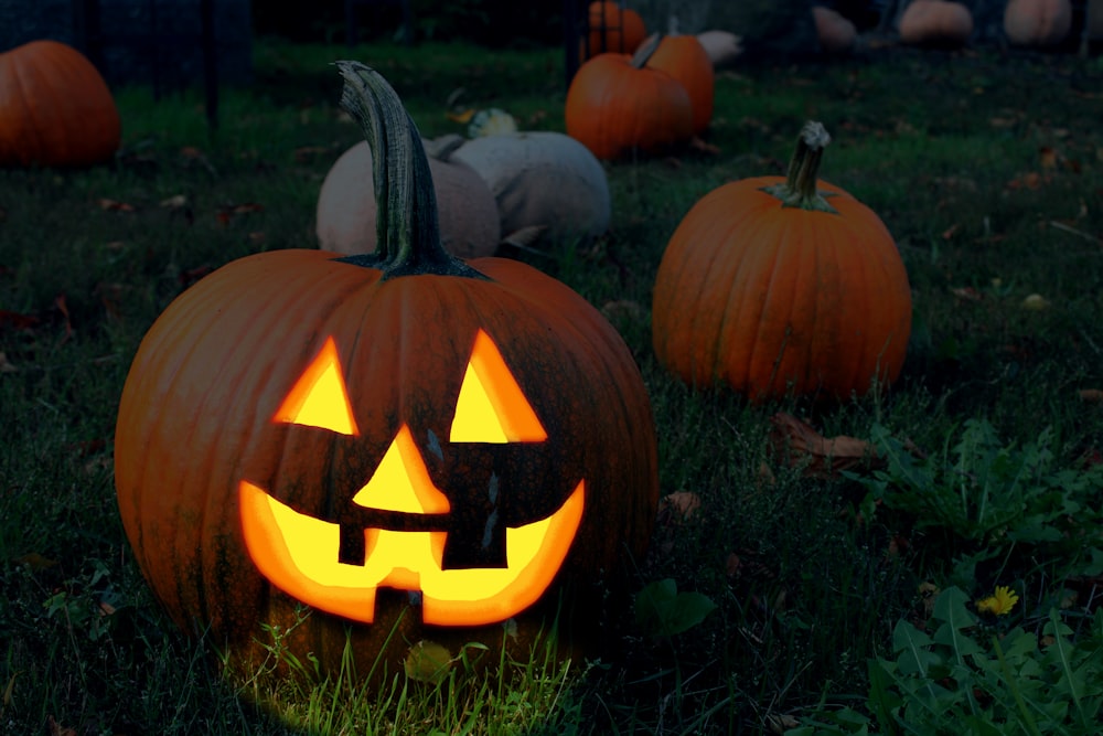 jack o lantern on green grass during daytime