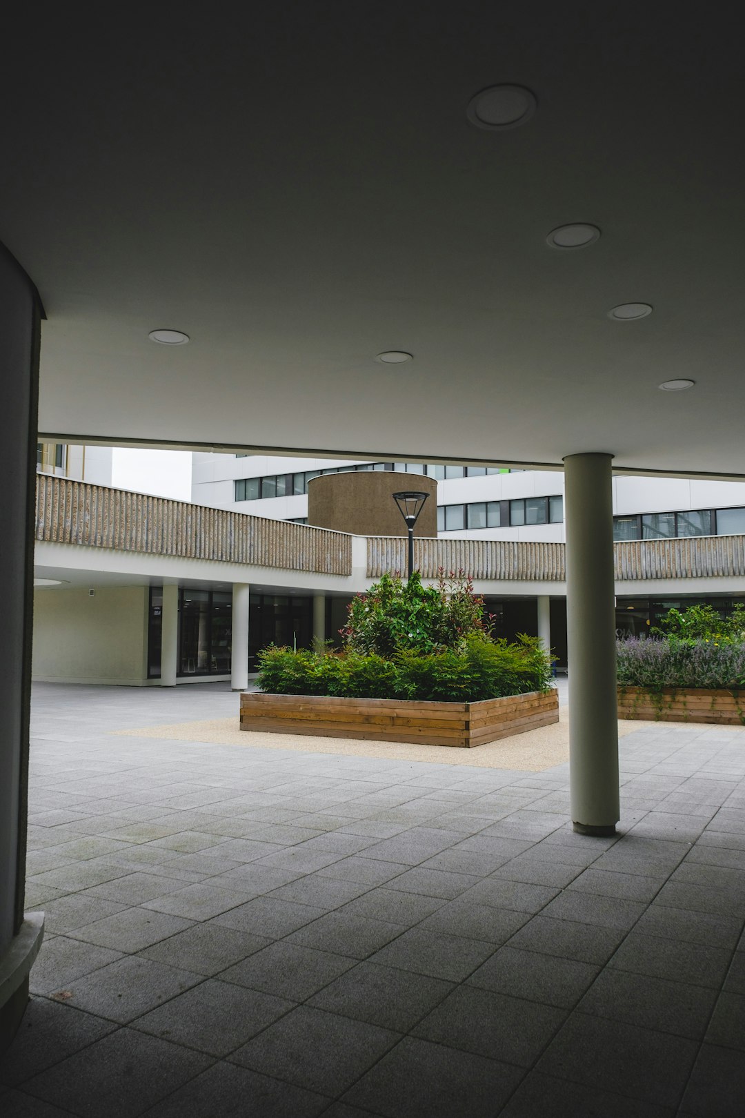 green trees in front of white concrete building