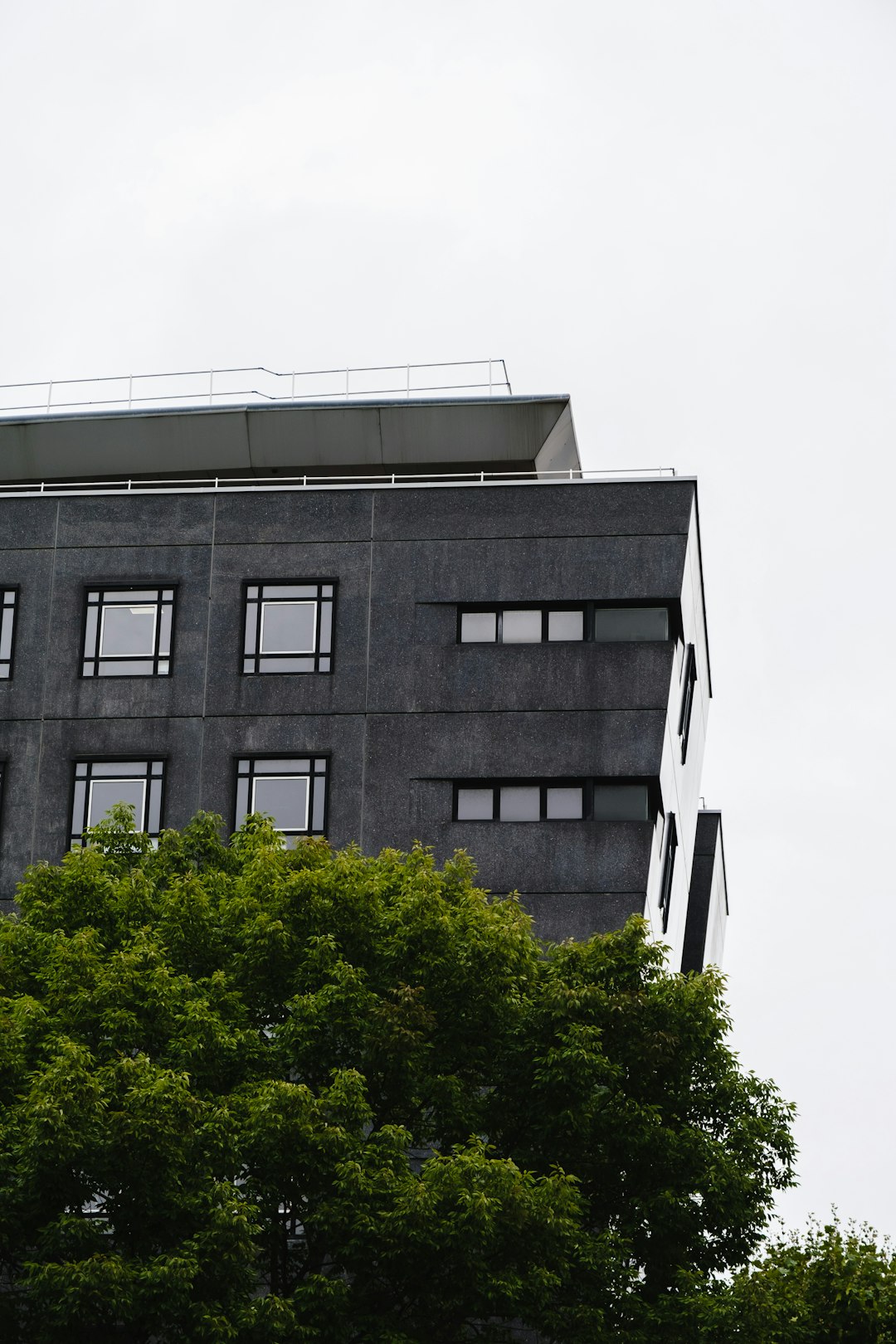 green trees beside gray concrete building during daytime