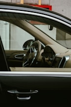 black and white car door