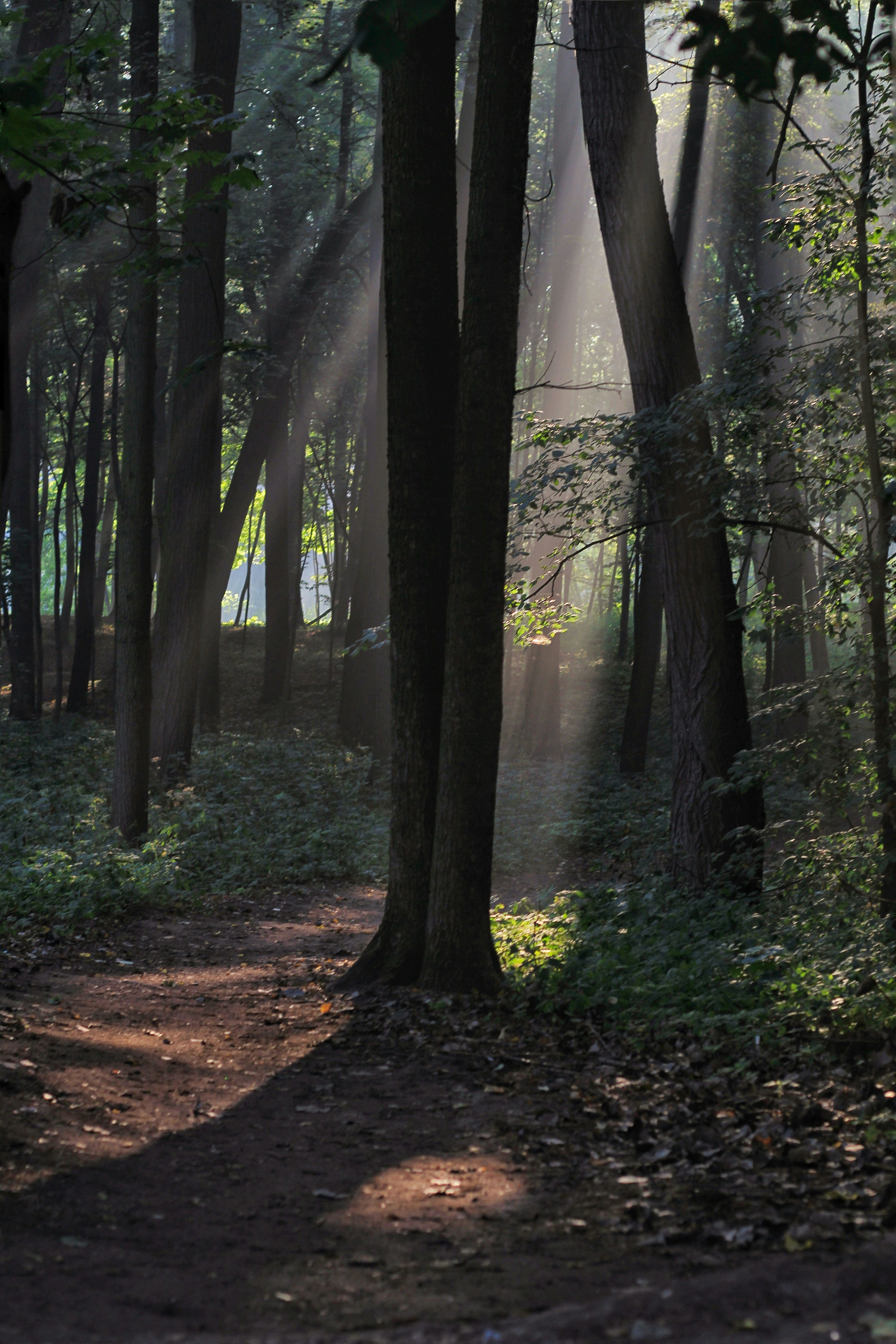 Photo by alla_home_vintage