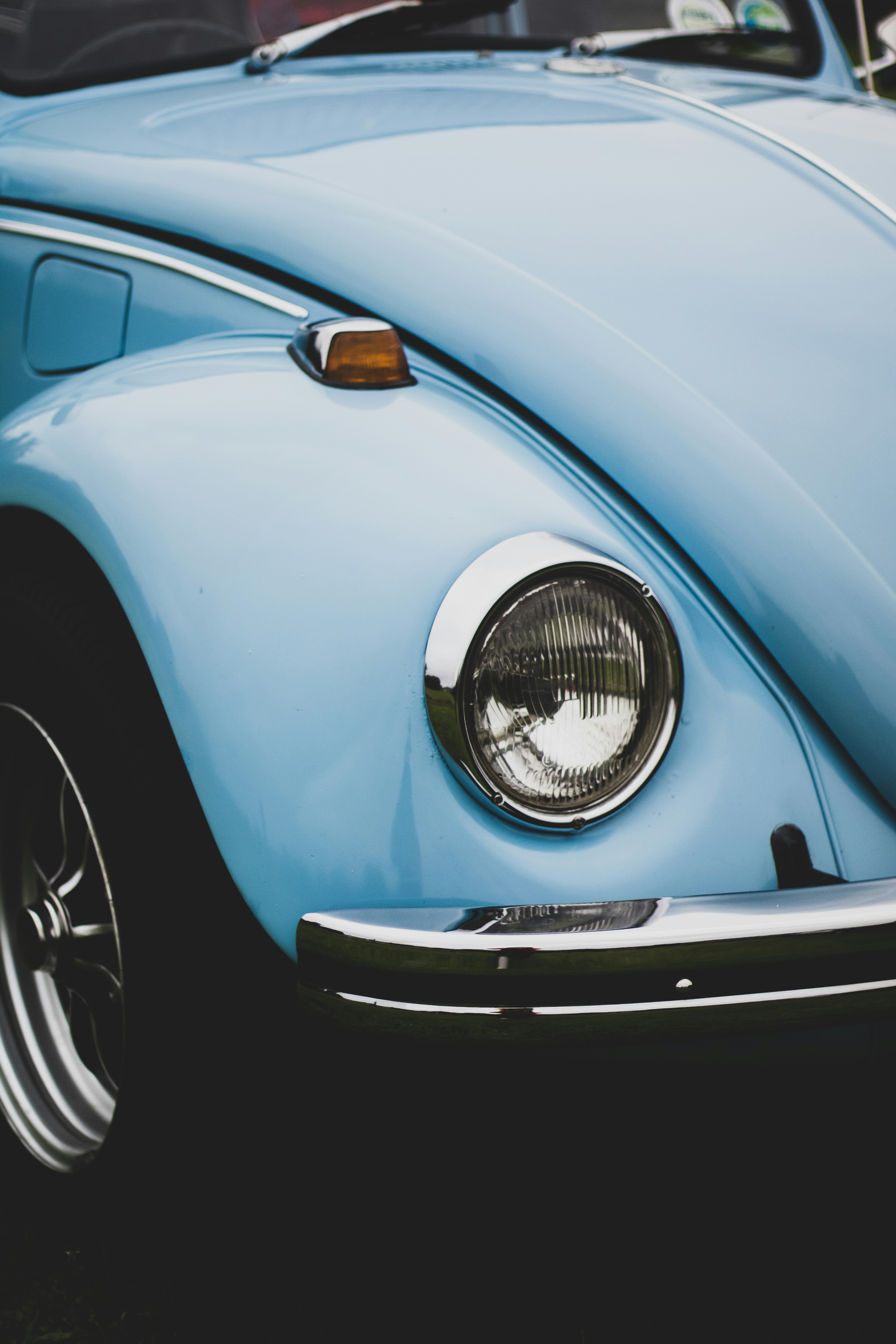 Photo by bcm_photography