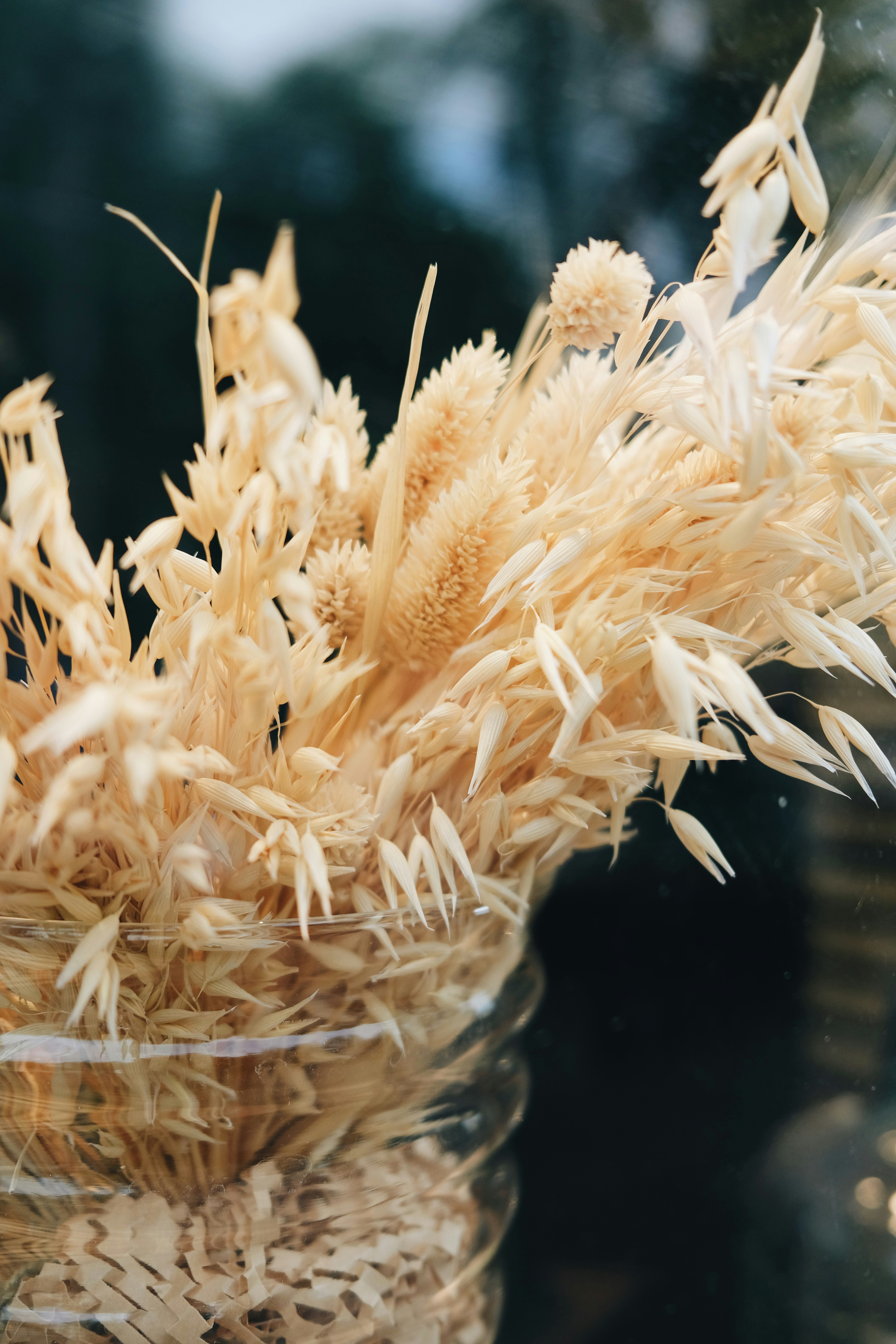 Photo by cherenkevich