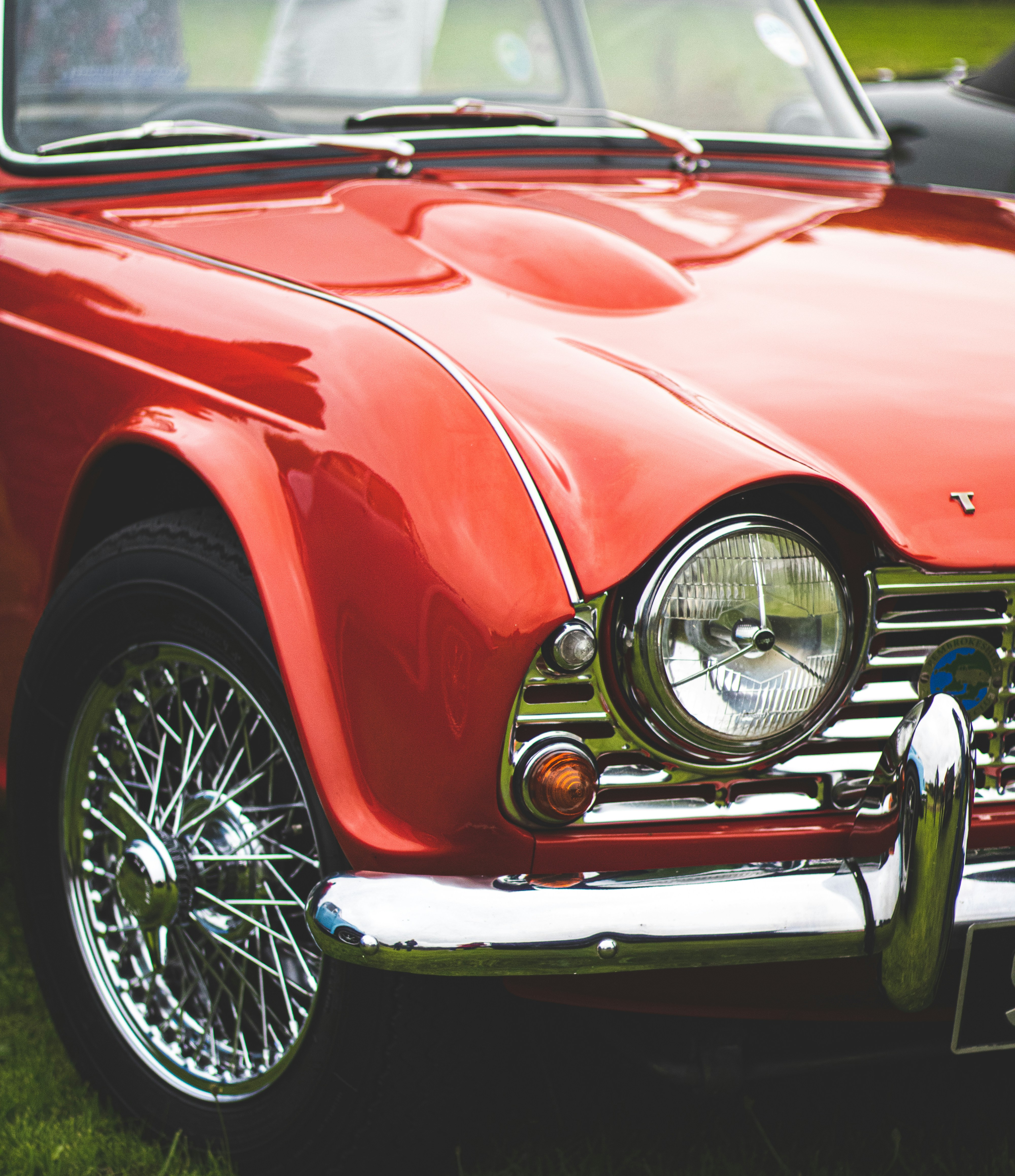 Photo by bcm_photography