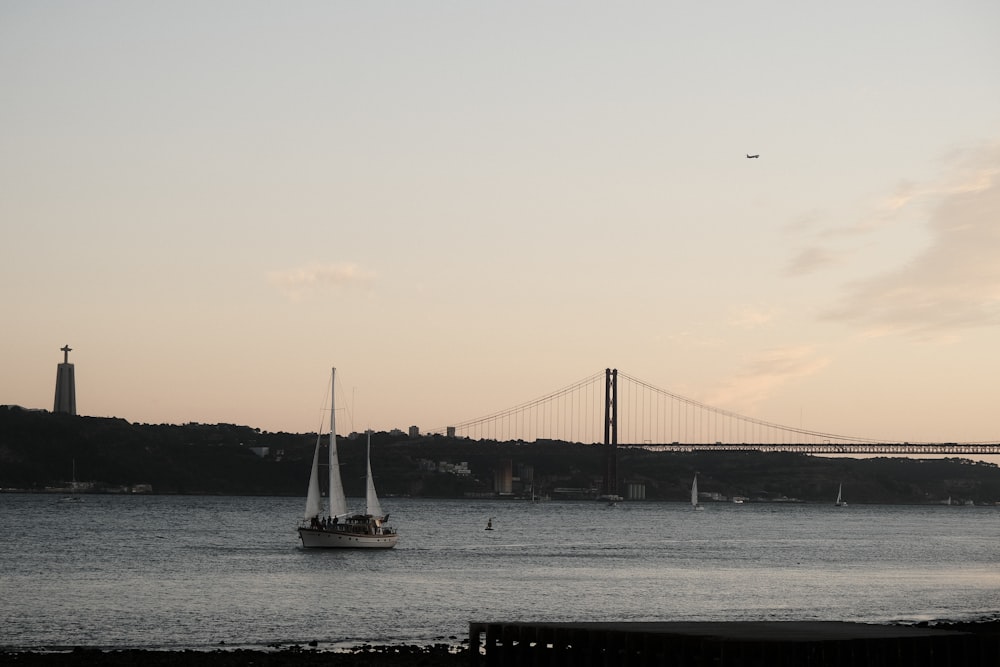 white sail boat on sea near bridge during daytime