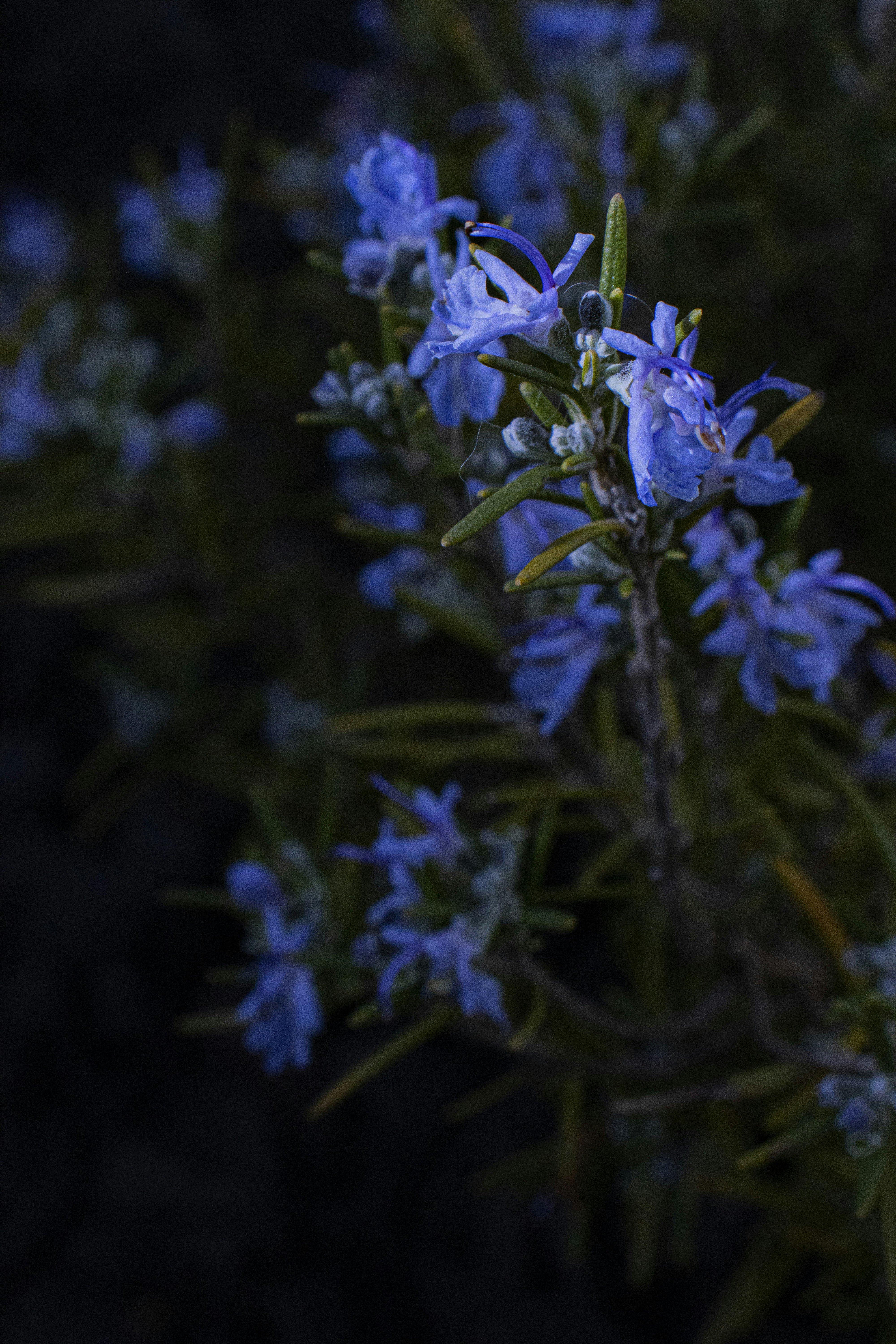 Photo by rachelstwrt