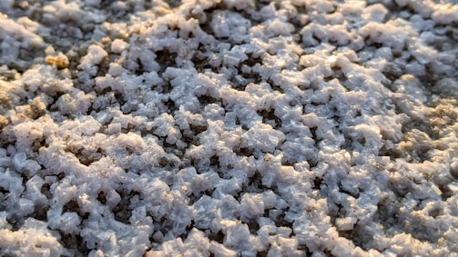 Close-up view of salt crystals clustered densely, reflecting light in whites and soft grays. The texture is rough and granular, with the sunlight creating a slight shimmer across the uneven surface.