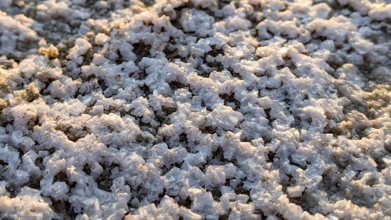 Close-up view of salt crystals clustered densely, reflecting light in whites and soft grays. The texture is rough and granular, with the sunlight creating a slight shimmer across the uneven surface.
