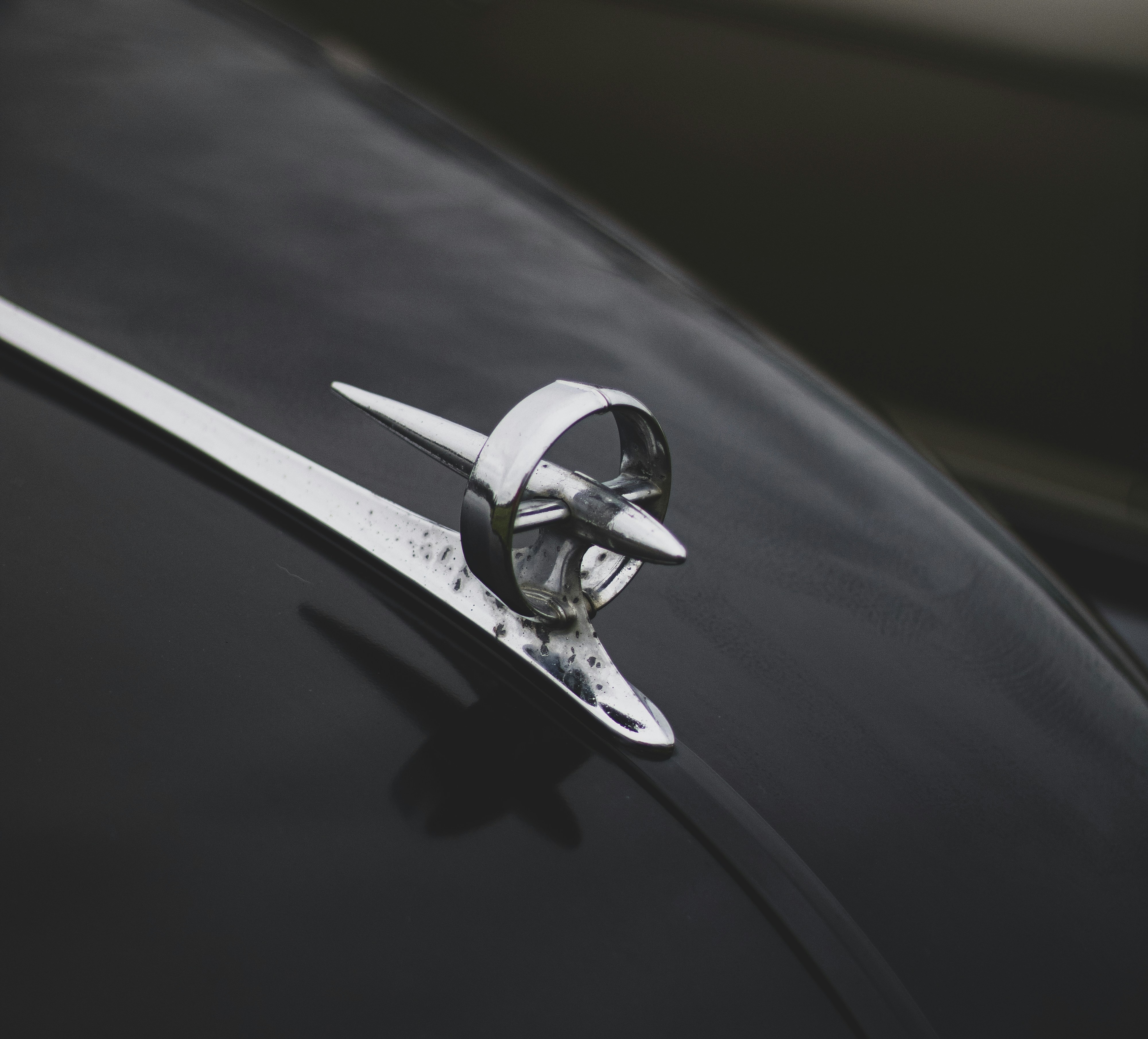 Photo by bcm_photography