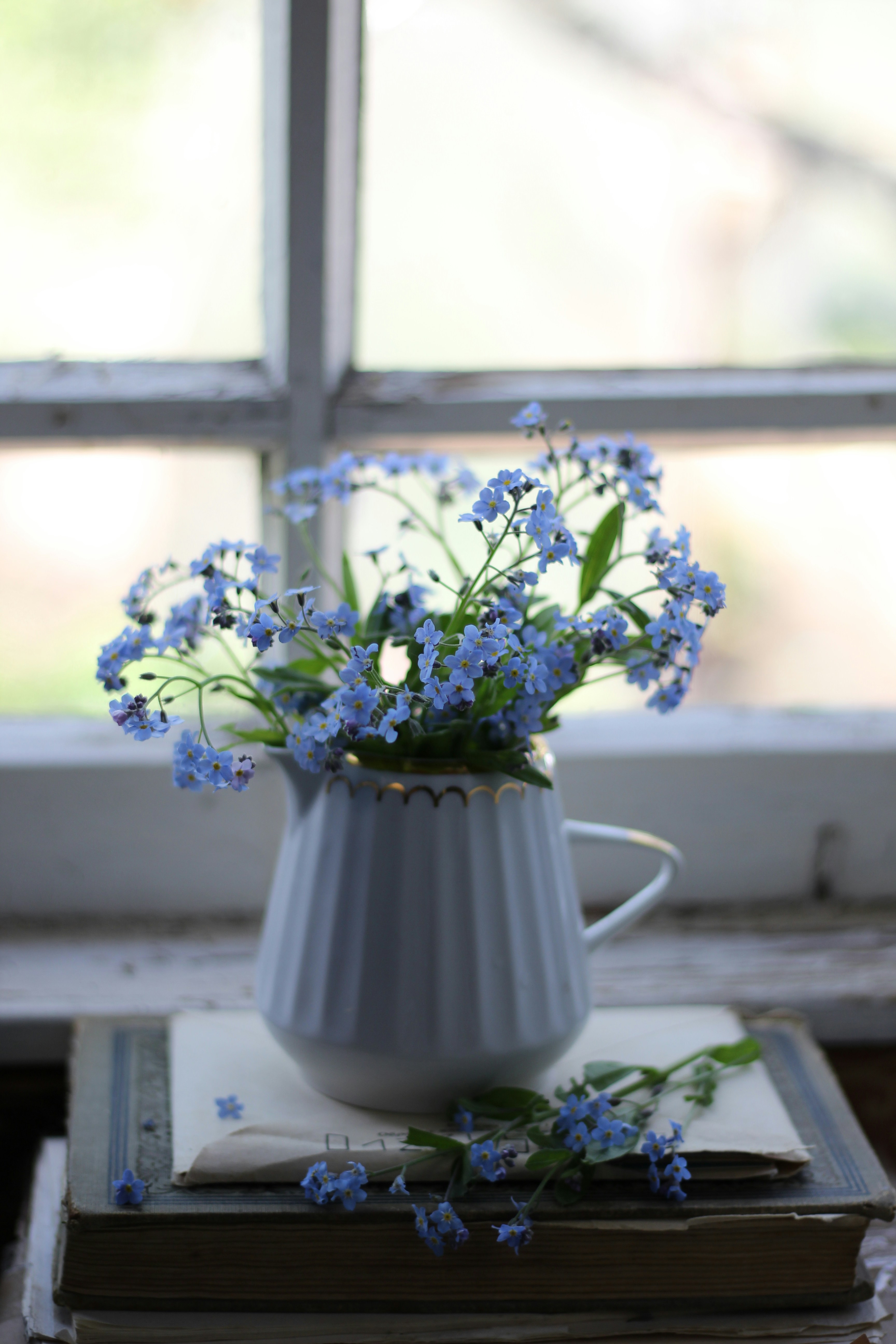 white flowers in gray ceramic vase