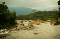 A picturesque river winding through a dense forest.