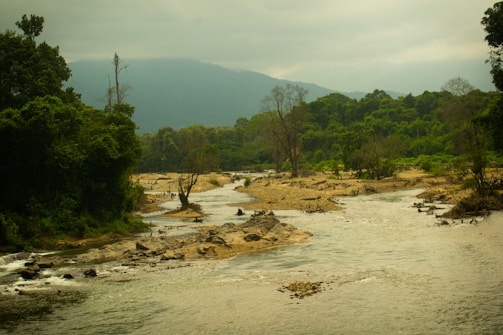 A winding river cutting through a dense forest under a cloudy sky.
