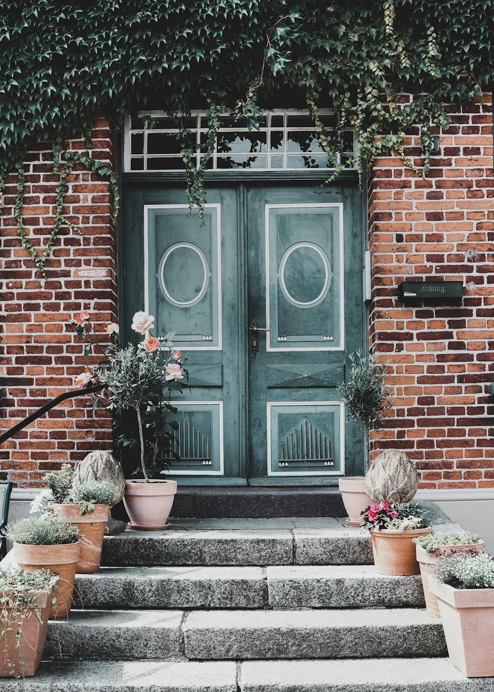 black wooden door with green plants