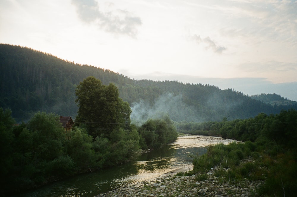 green trees near river under white clouds during daytime