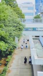 A pathway is bordered by trees on the left and a building on the right. Several people are walking along this path, some in groups and some individually. The background features a cluster of urban buildings.