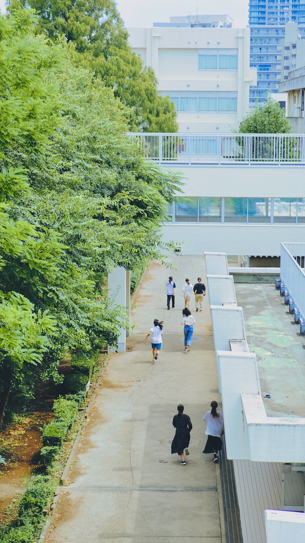 people walking on sidewalk near body of water during daytime