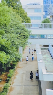A pathway is bordered by trees on the left and a building on the right. Several people are walking along this path, some in groups and some individually. The background features a cluster of urban buildings.
