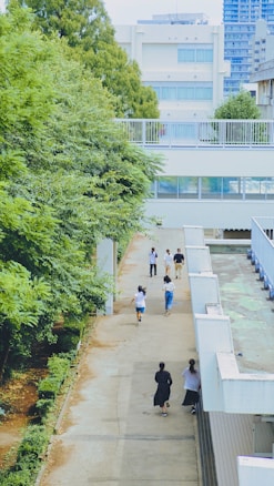 A pathway is bordered by trees on the left and a building on the right. Several people are walking along this path, some in groups and some individually. The background features a cluster of urban buildings.