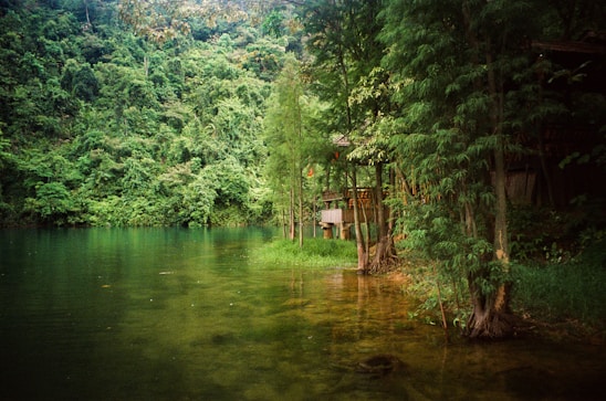 A serene lakeside sauna surrounded by trees and calm water