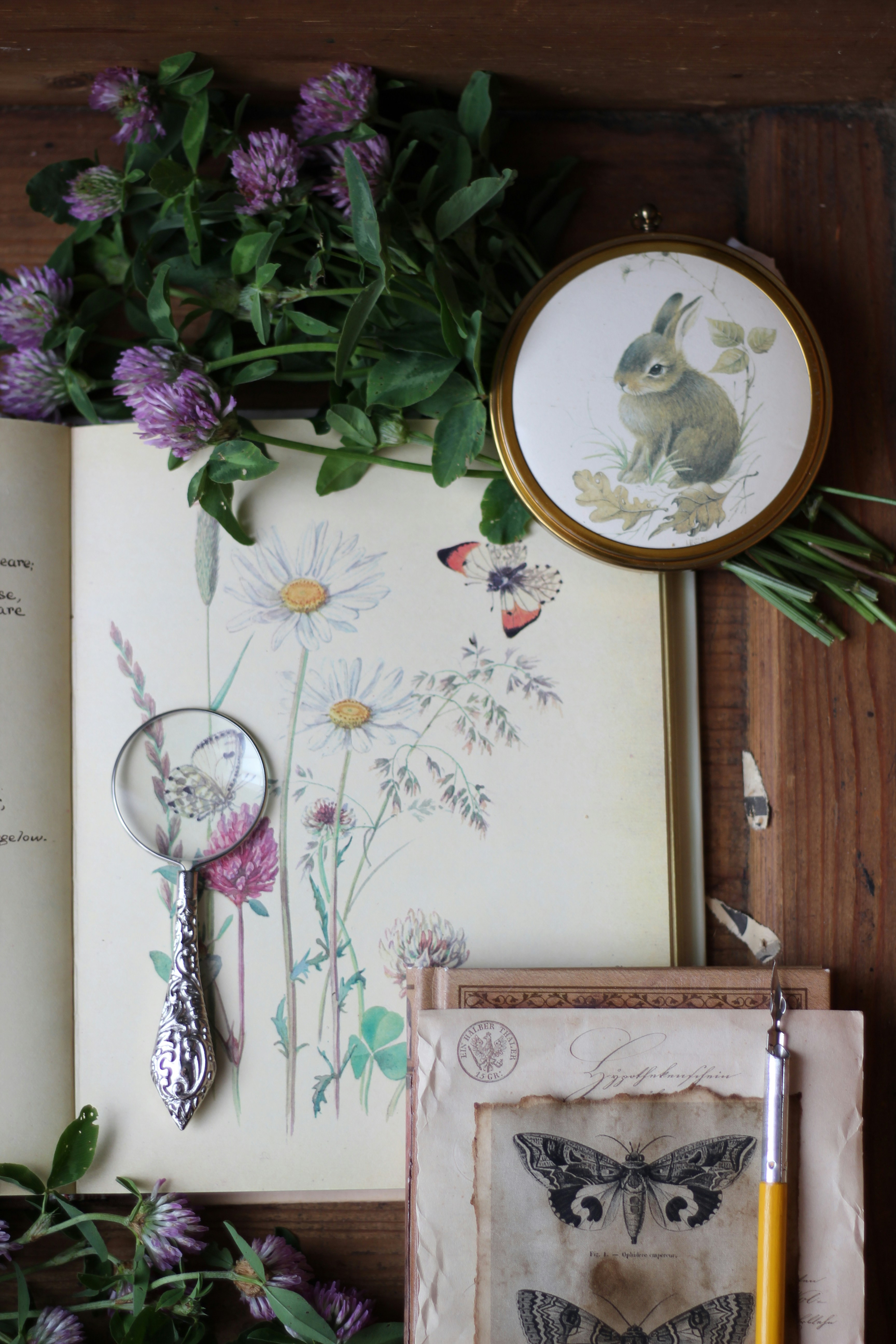 Photo by alla_home_vintage