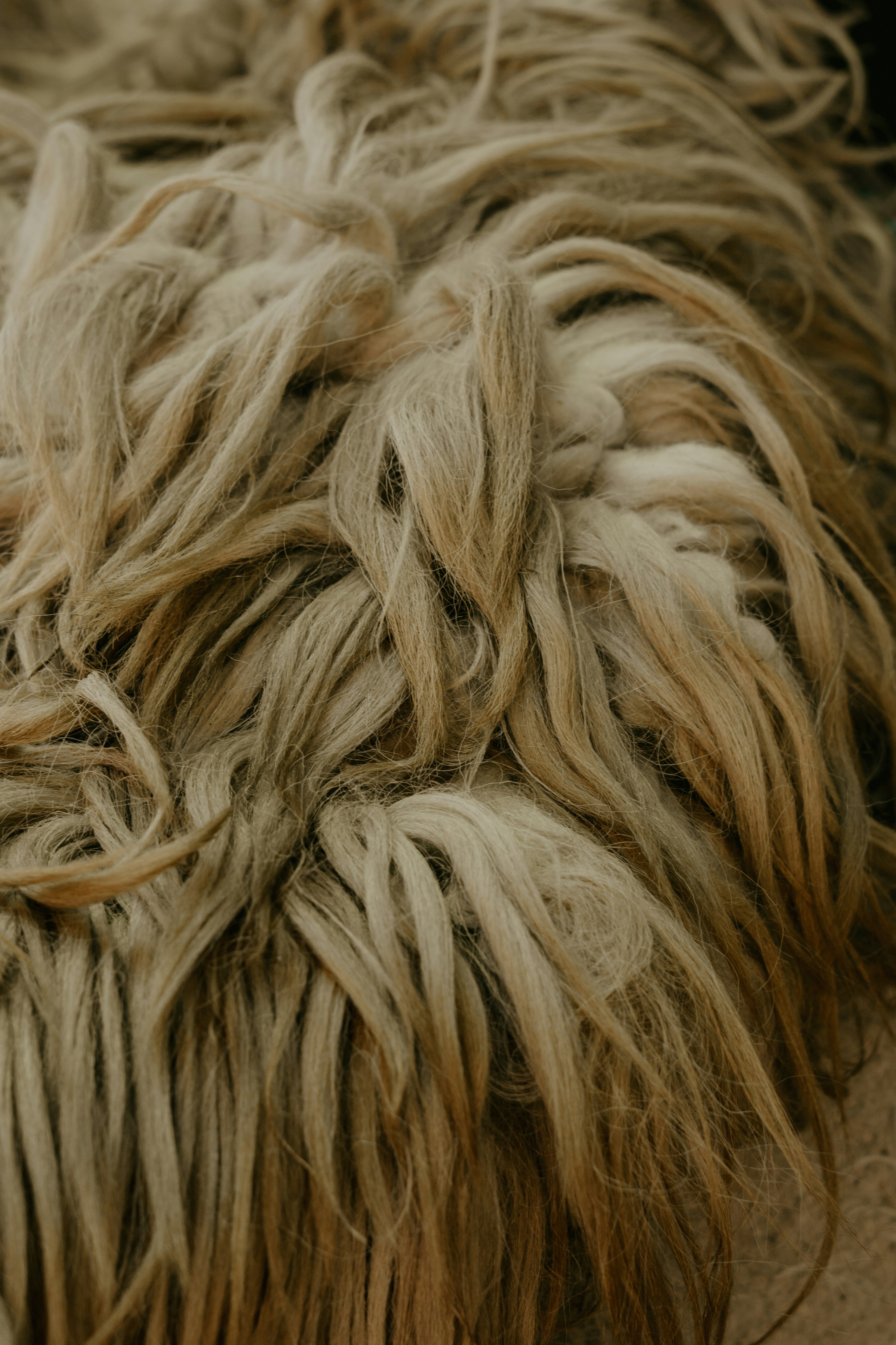 brown and black fur textile