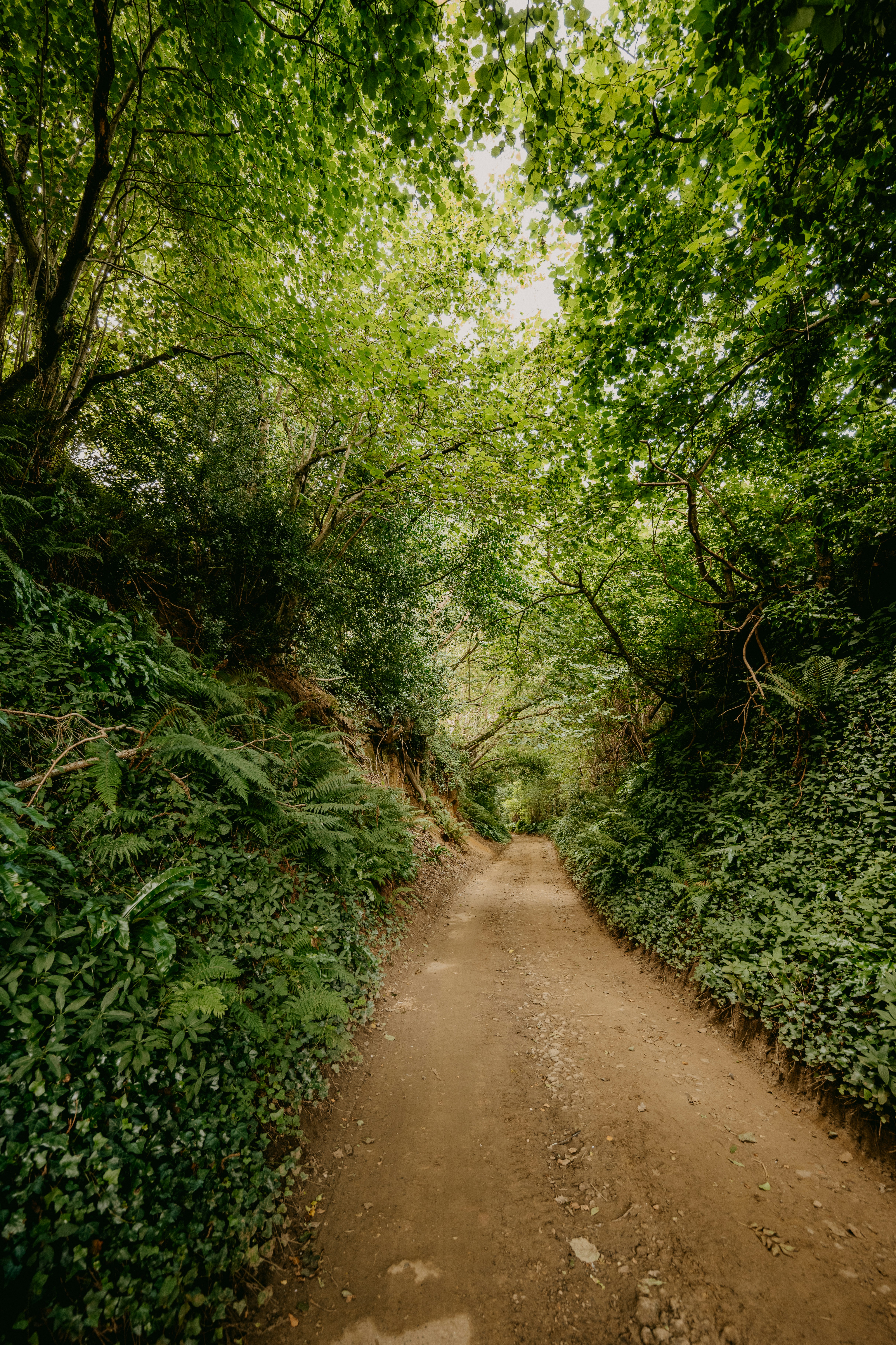 Photo by anniespratt