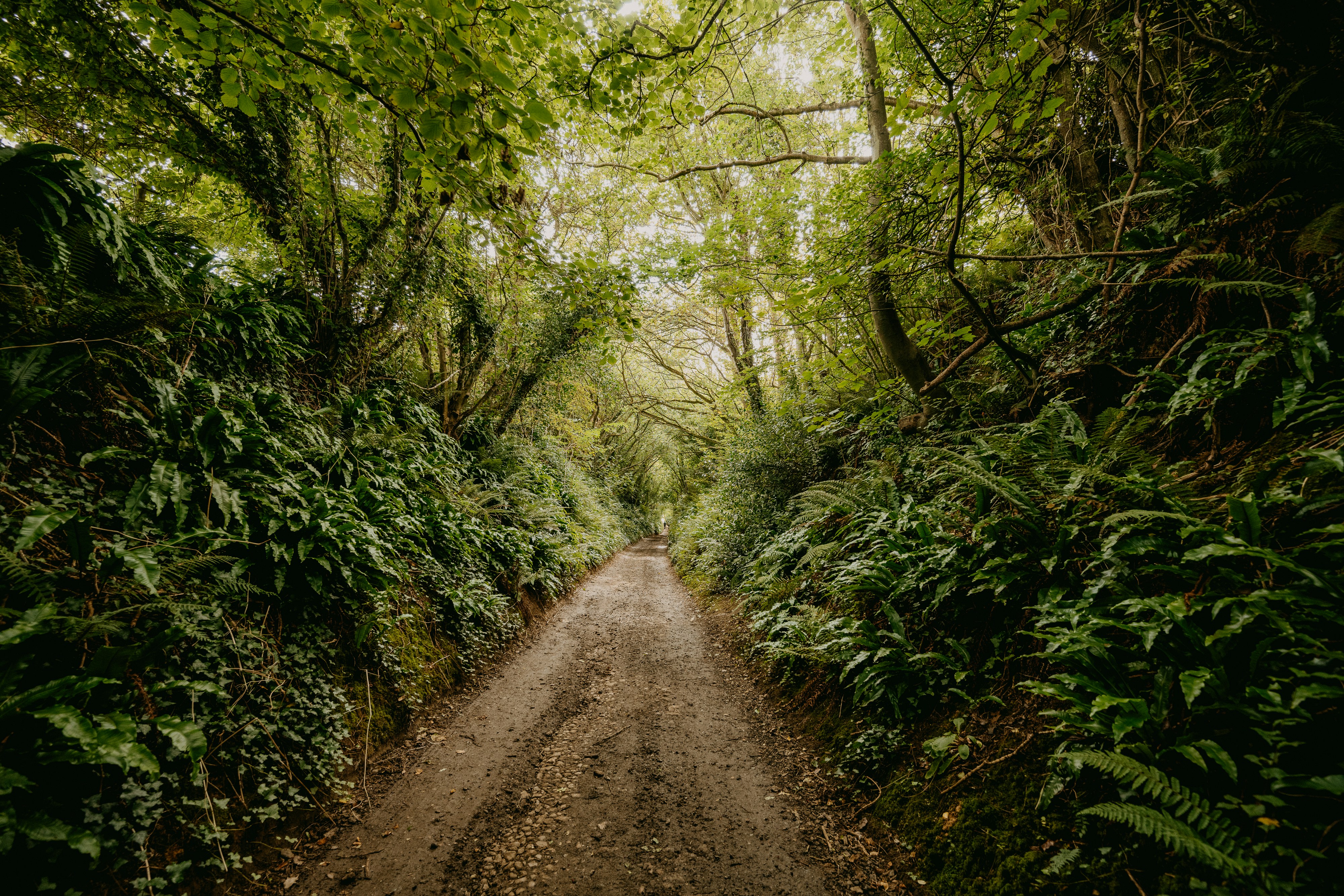 Photo by anniespratt