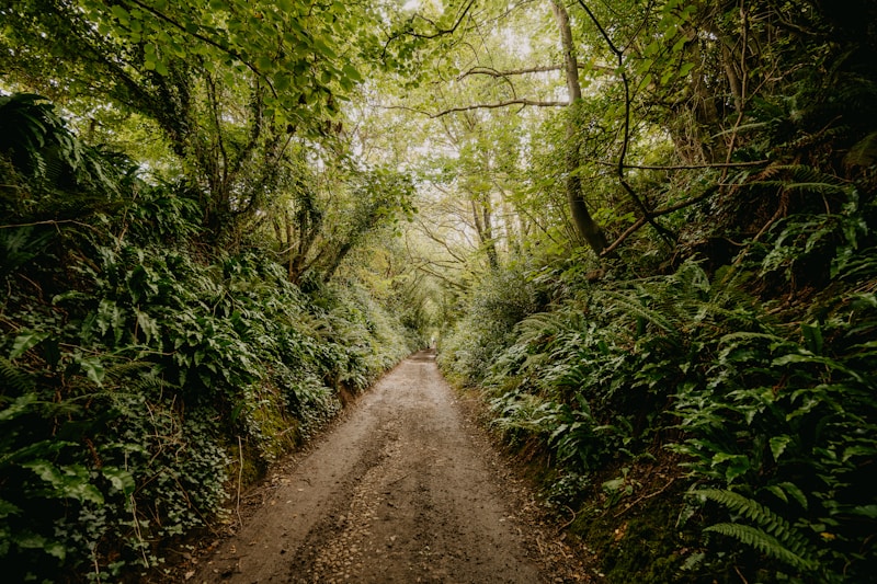 Photo of O2 Forum Kentish Town
