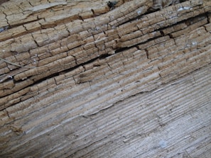 Close-up of a hand breaking a rich golden Cambodian oud piece, highlighting its texture and depth.