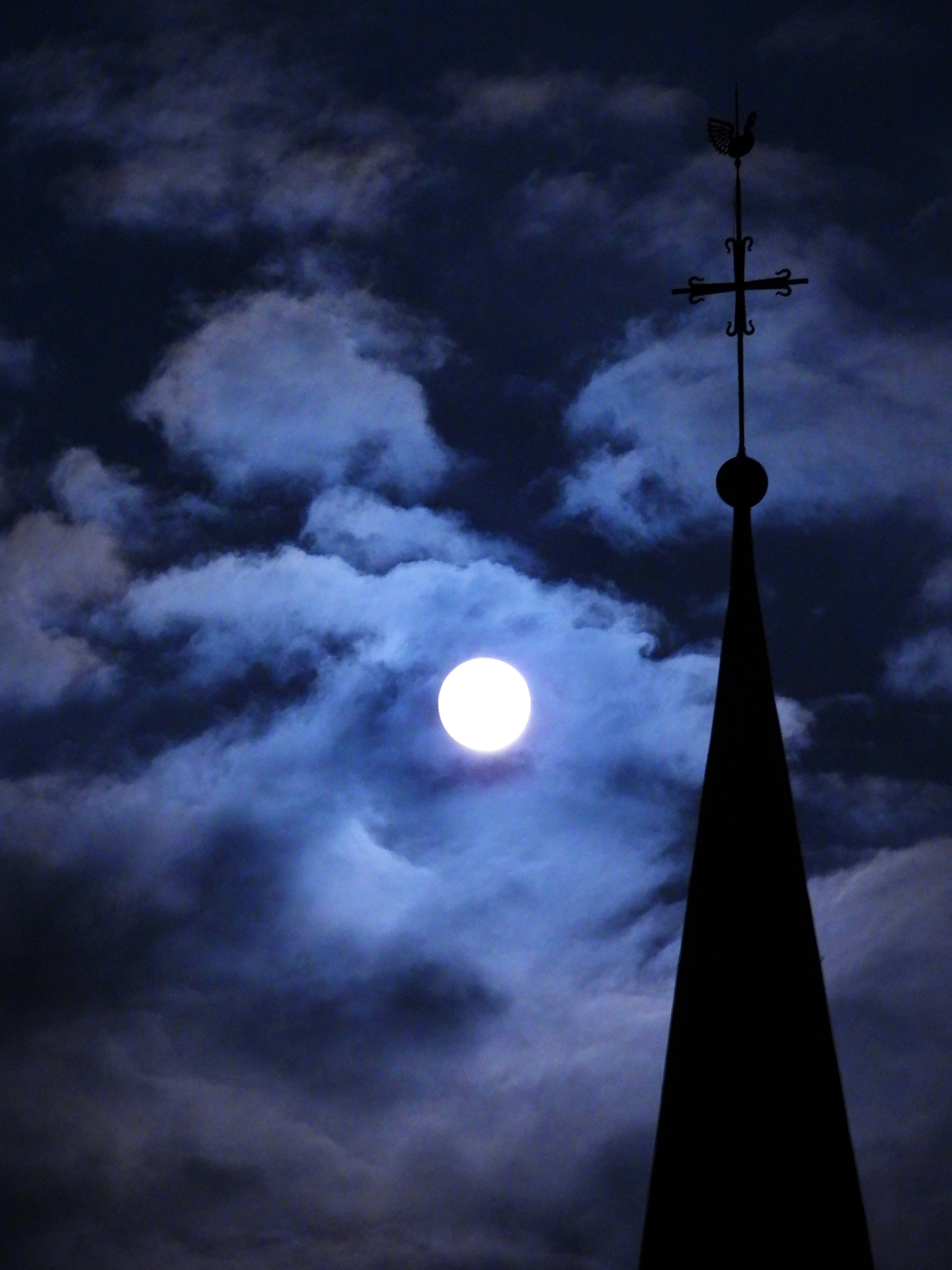 Photo by mortezakhalili