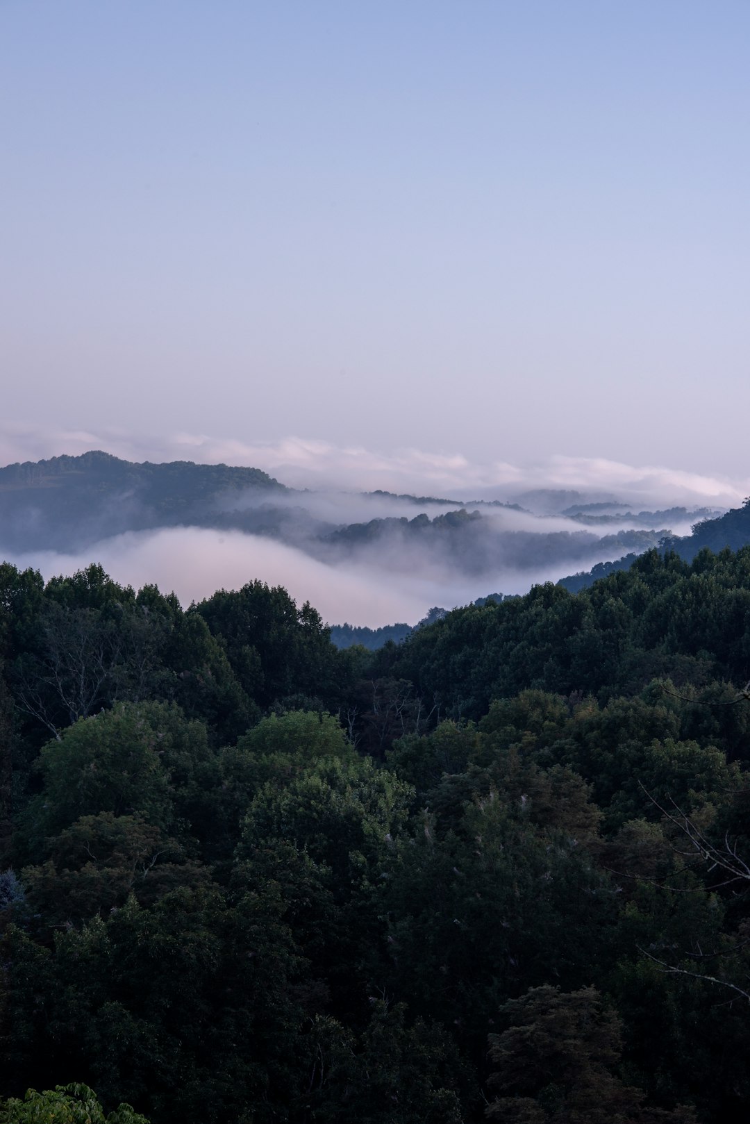 green trees on mountain under white clouds during daytime