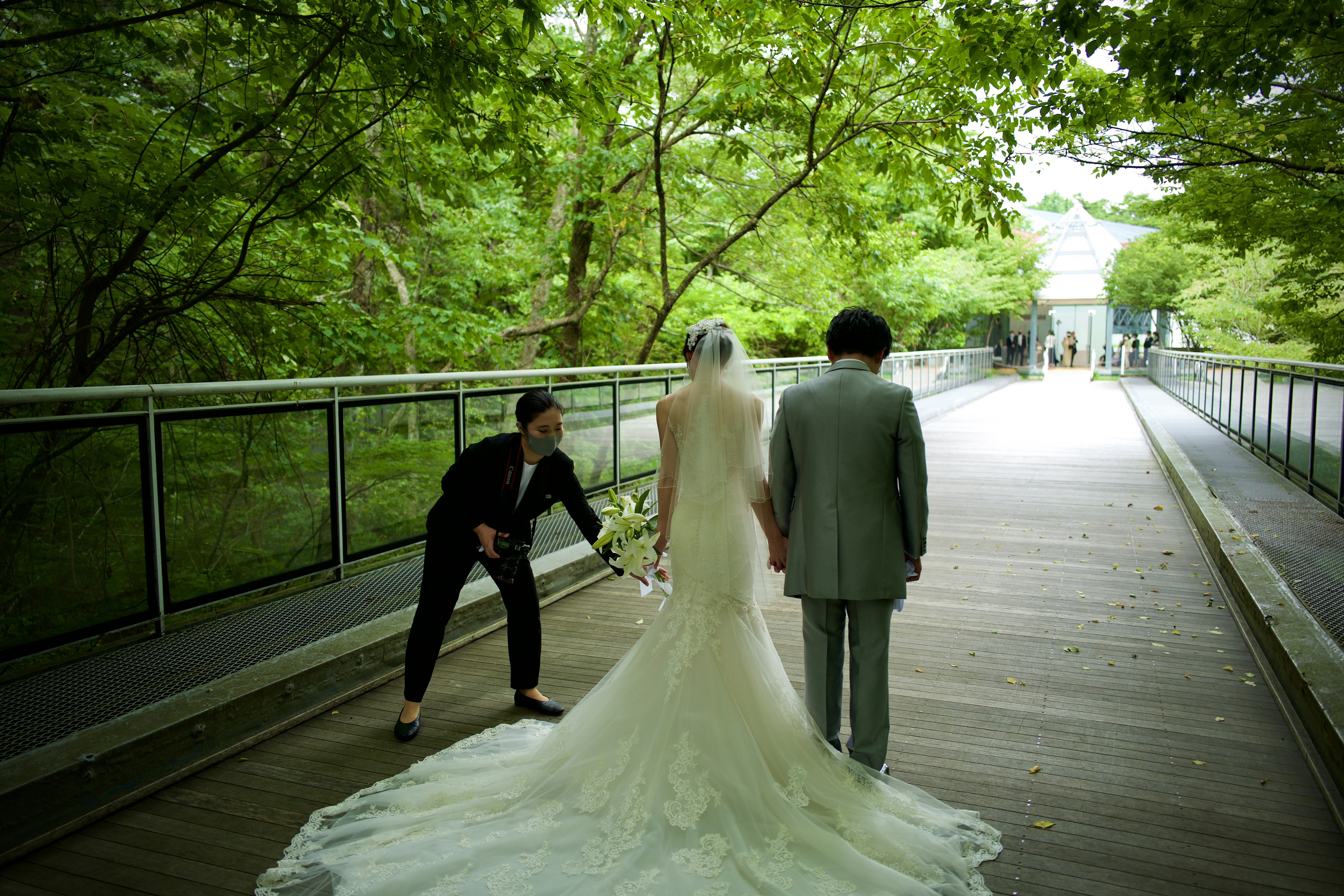 Choose from a curated selection of wedding backgrounds. Always free on Unsplash.