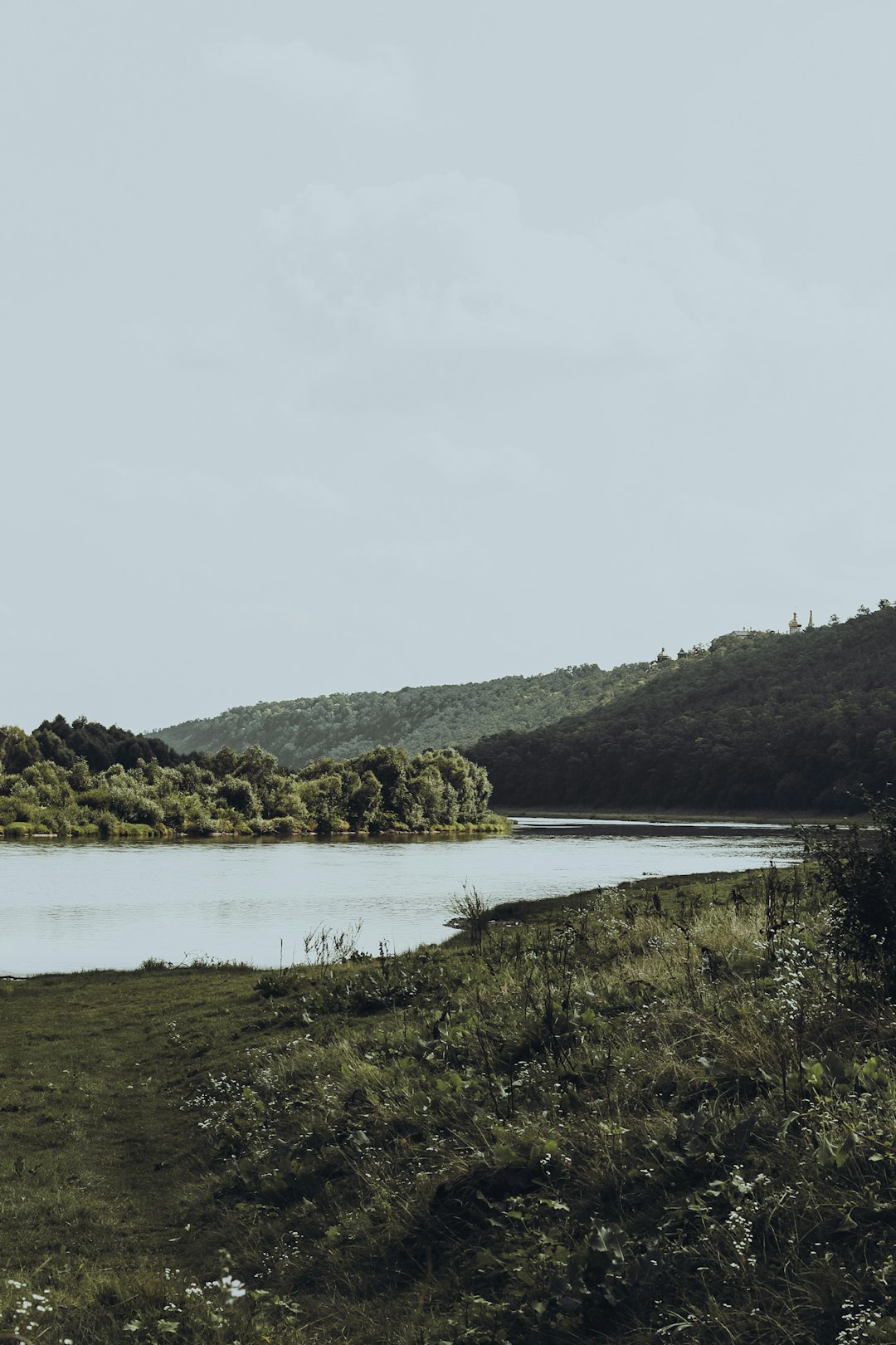 green trees near lake under white sky during daytime