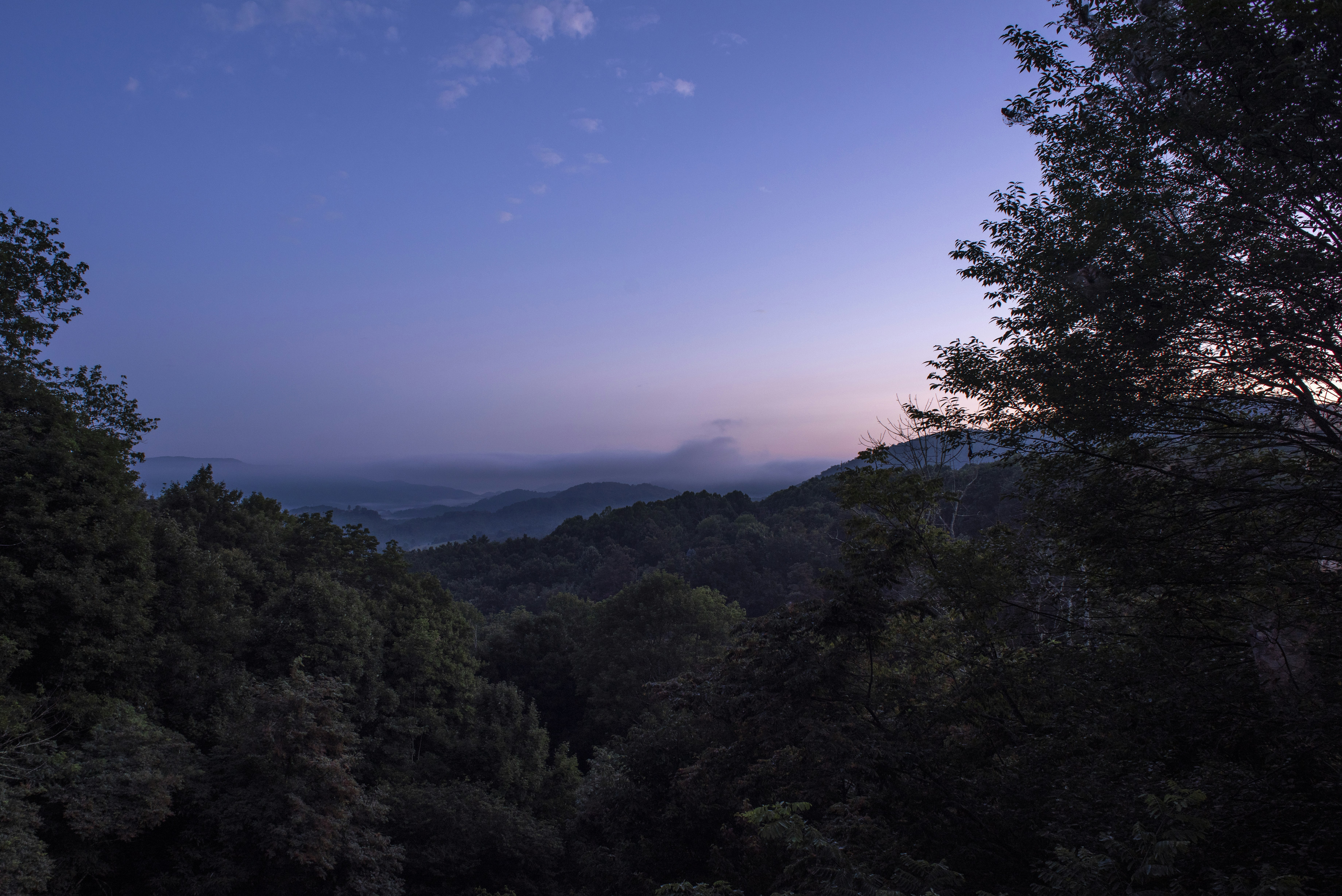 Photo by erdaest