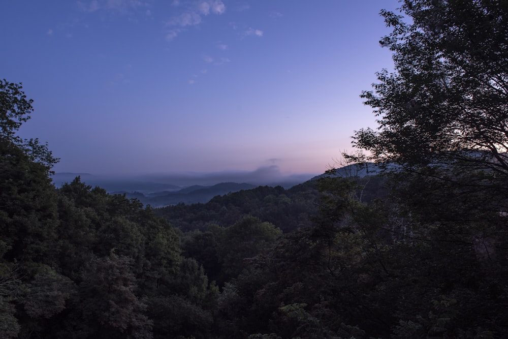 낮 동안 푸른 하늘 아래 산에 푸른 나무