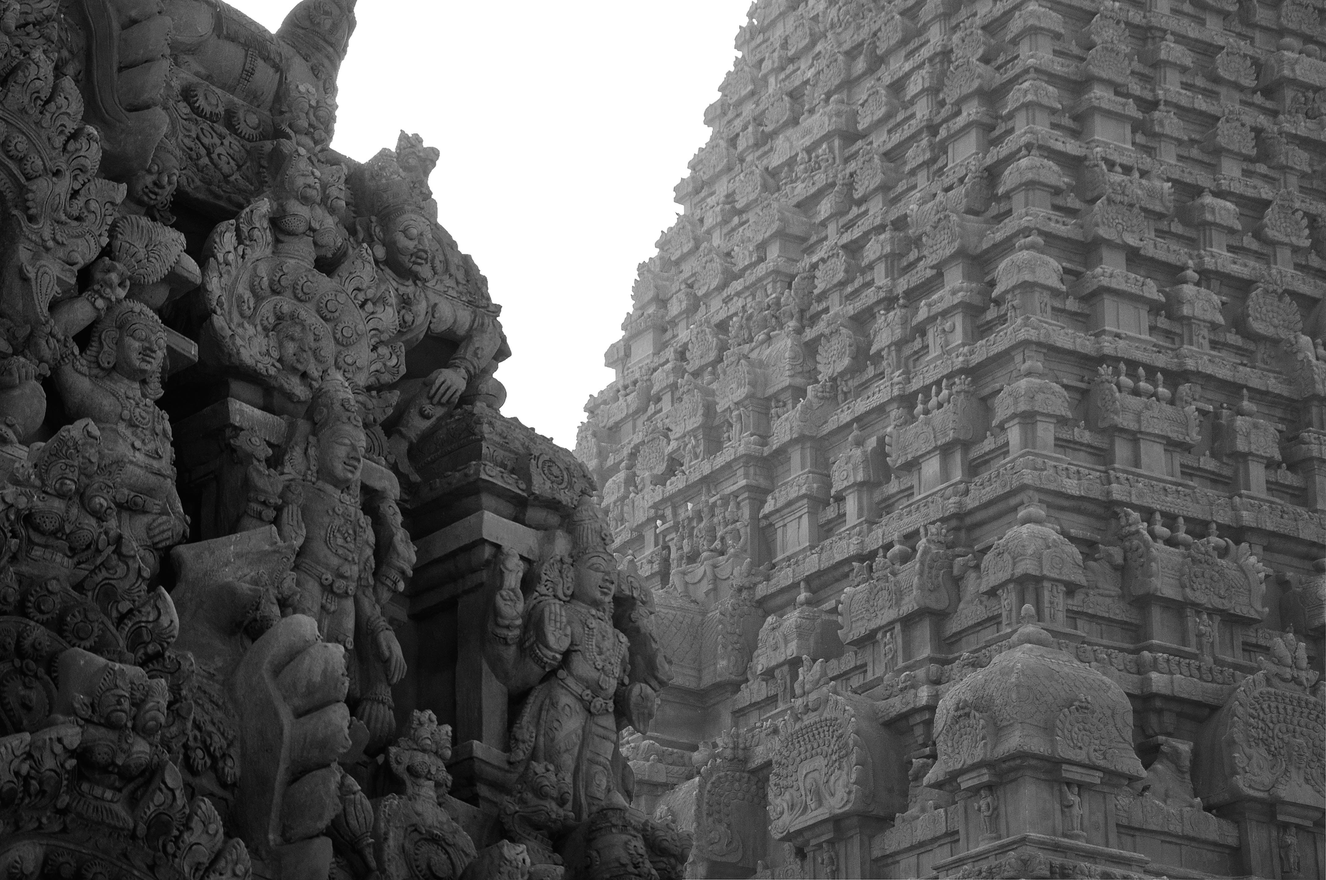 Photo by vigneshwar