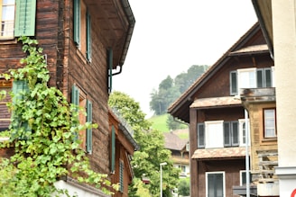 A peaceful street scene in Wimbledon Village with charming houses and greenery.