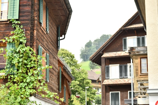 A peaceful street scene in Wimbledon Village with charming houses and greenery.