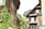 A quaint residential scene featuring traditional wooden houses with green shutters, surrounded by lush greenery and climbing plants. In the background, there is a gentle hillside covered with trees and grass, contributing to the serene atmosphere.