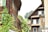 A quaint residential scene featuring traditional wooden houses with green shutters, surrounded by lush greenery and climbing plants. In the background, there is a gentle hillside covered with trees and grass, contributing to the serene atmosphere.