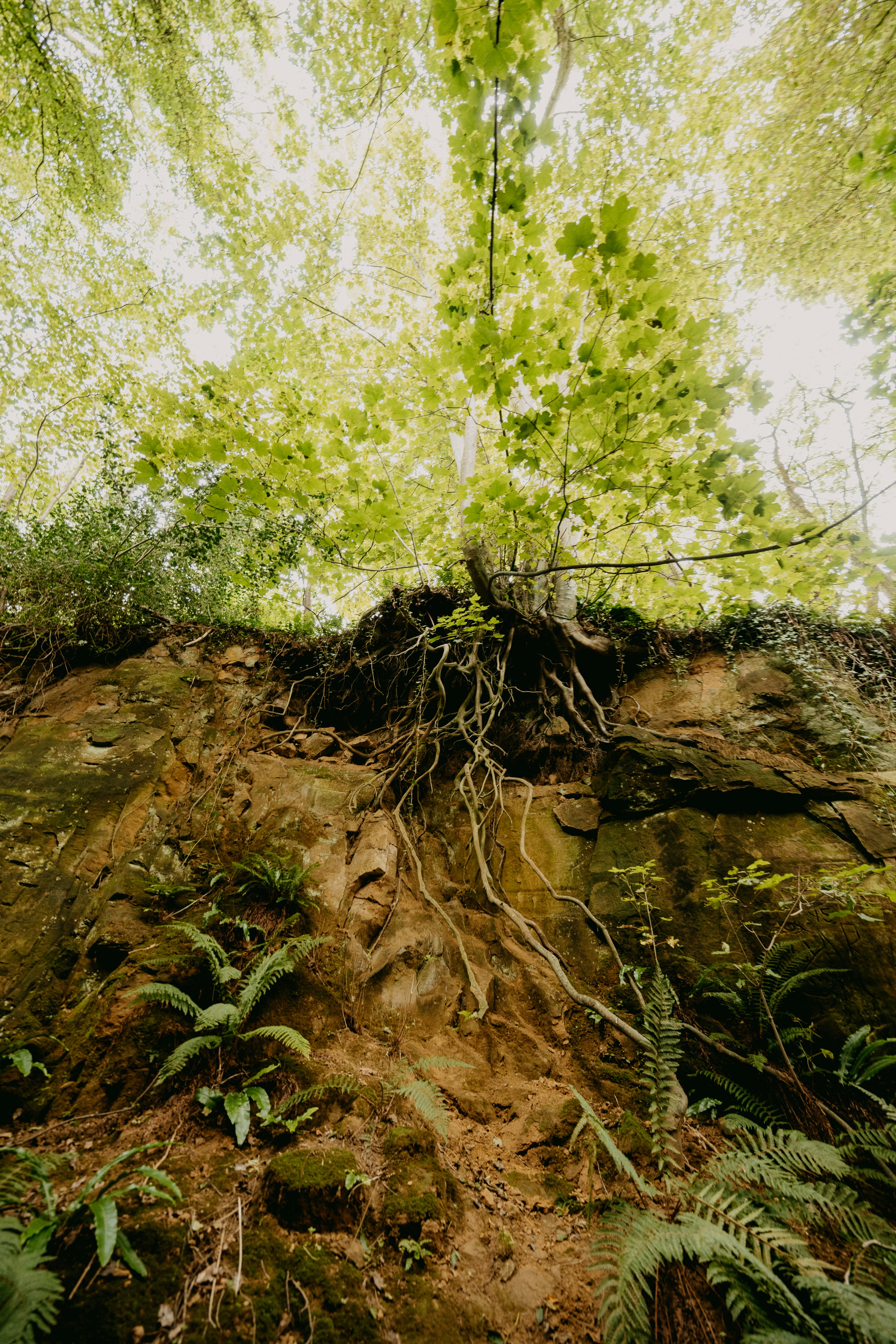 Photo by anniespratt