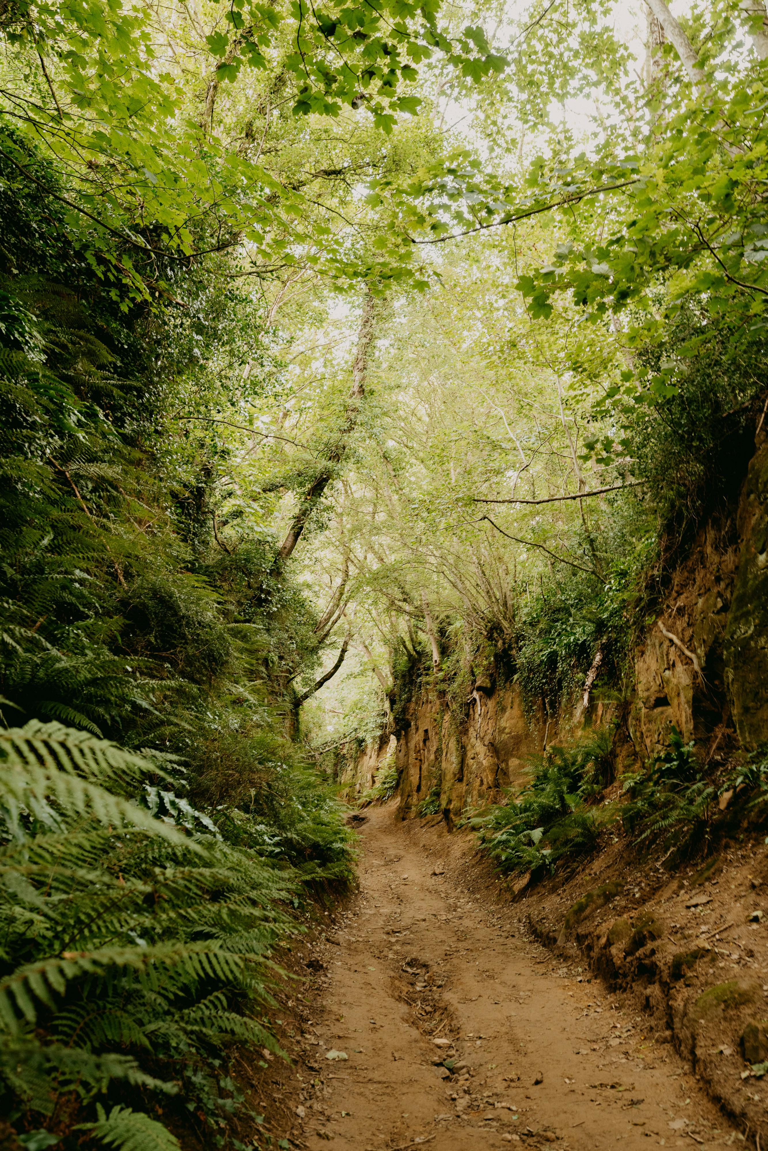 Photo by anniespratt