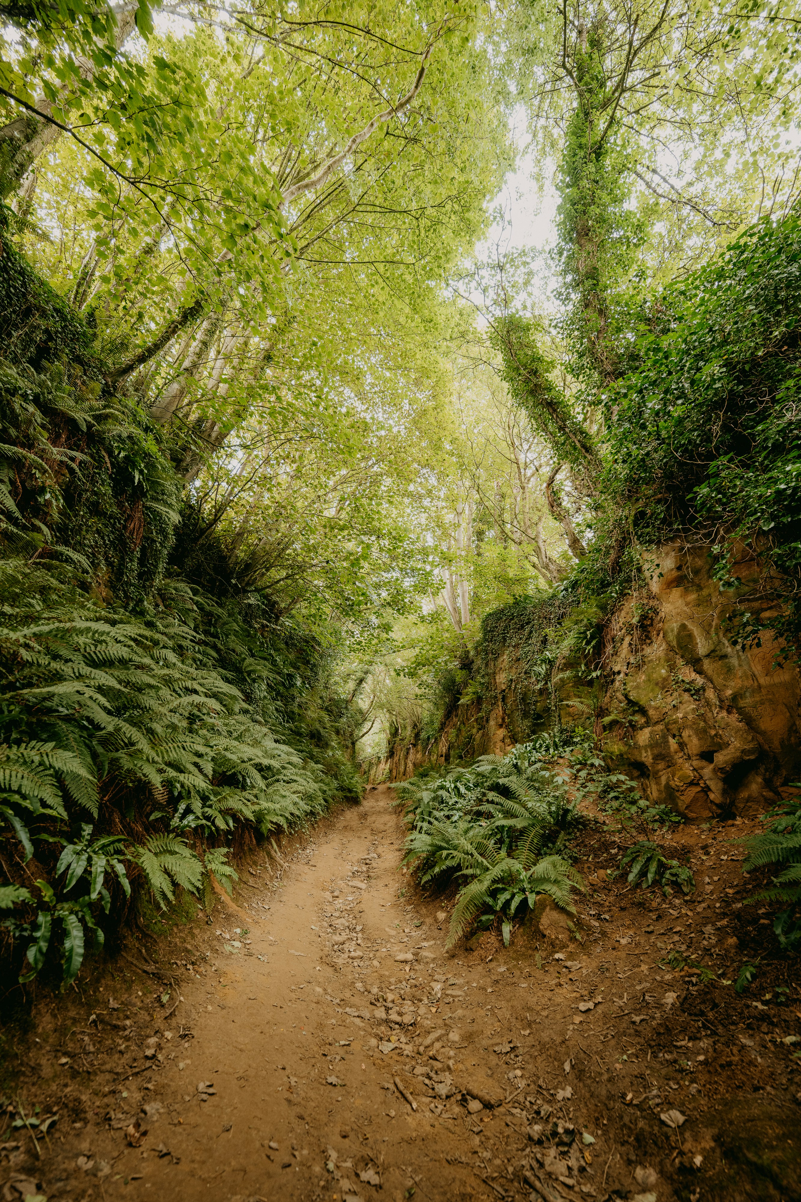 Photo by anniespratt