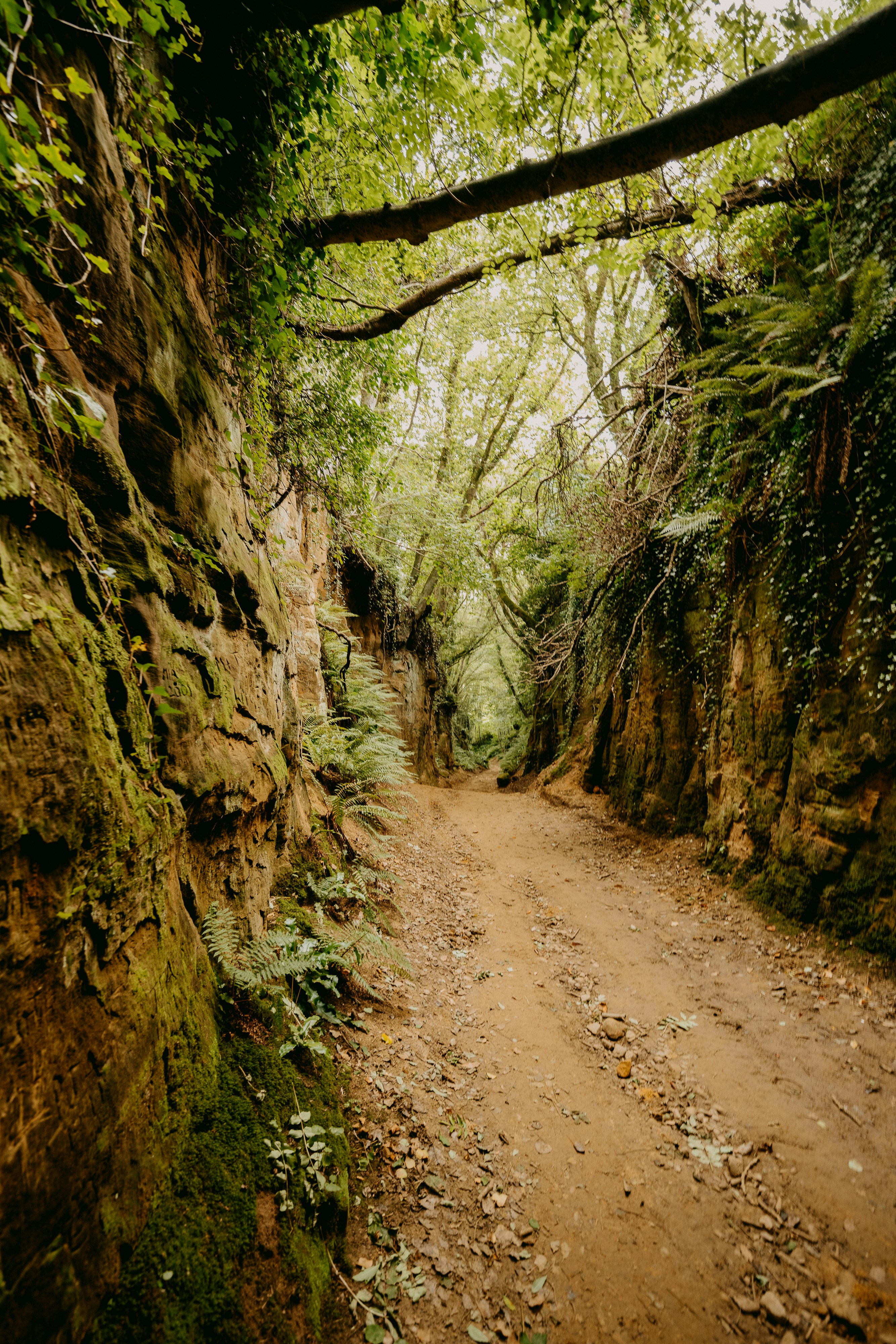 Photo by anniespratt