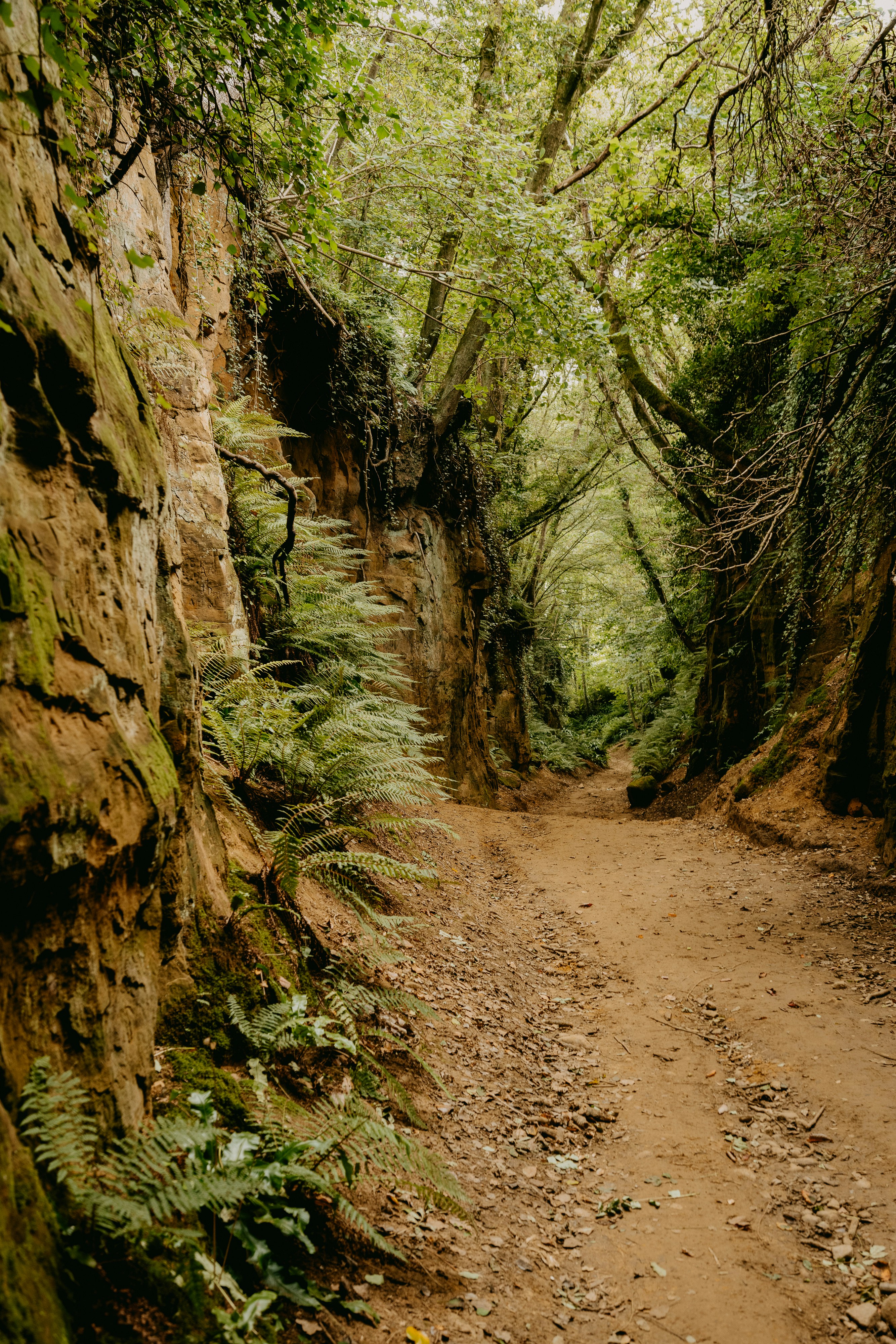 Photo by anniespratt