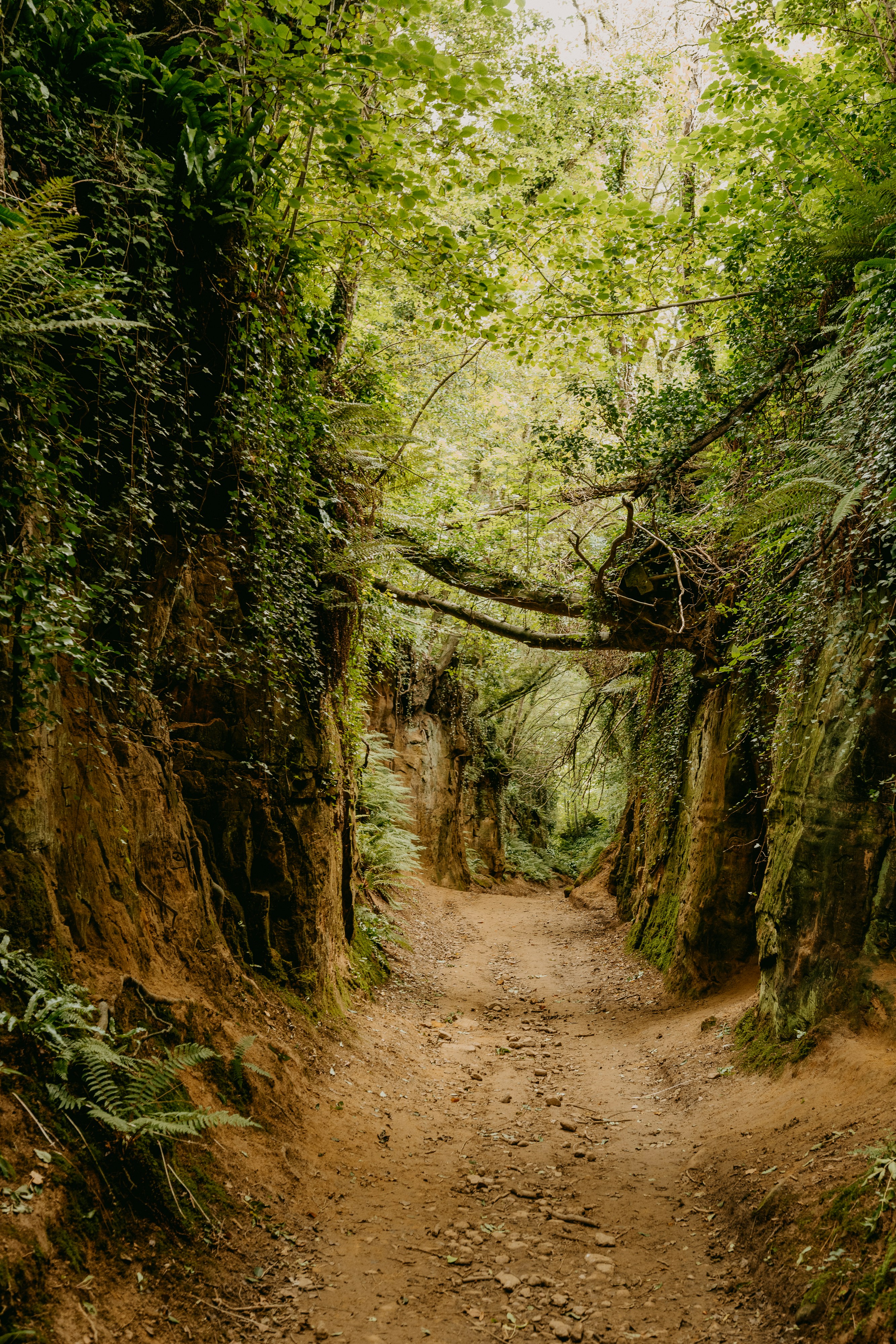 Photo by anniespratt