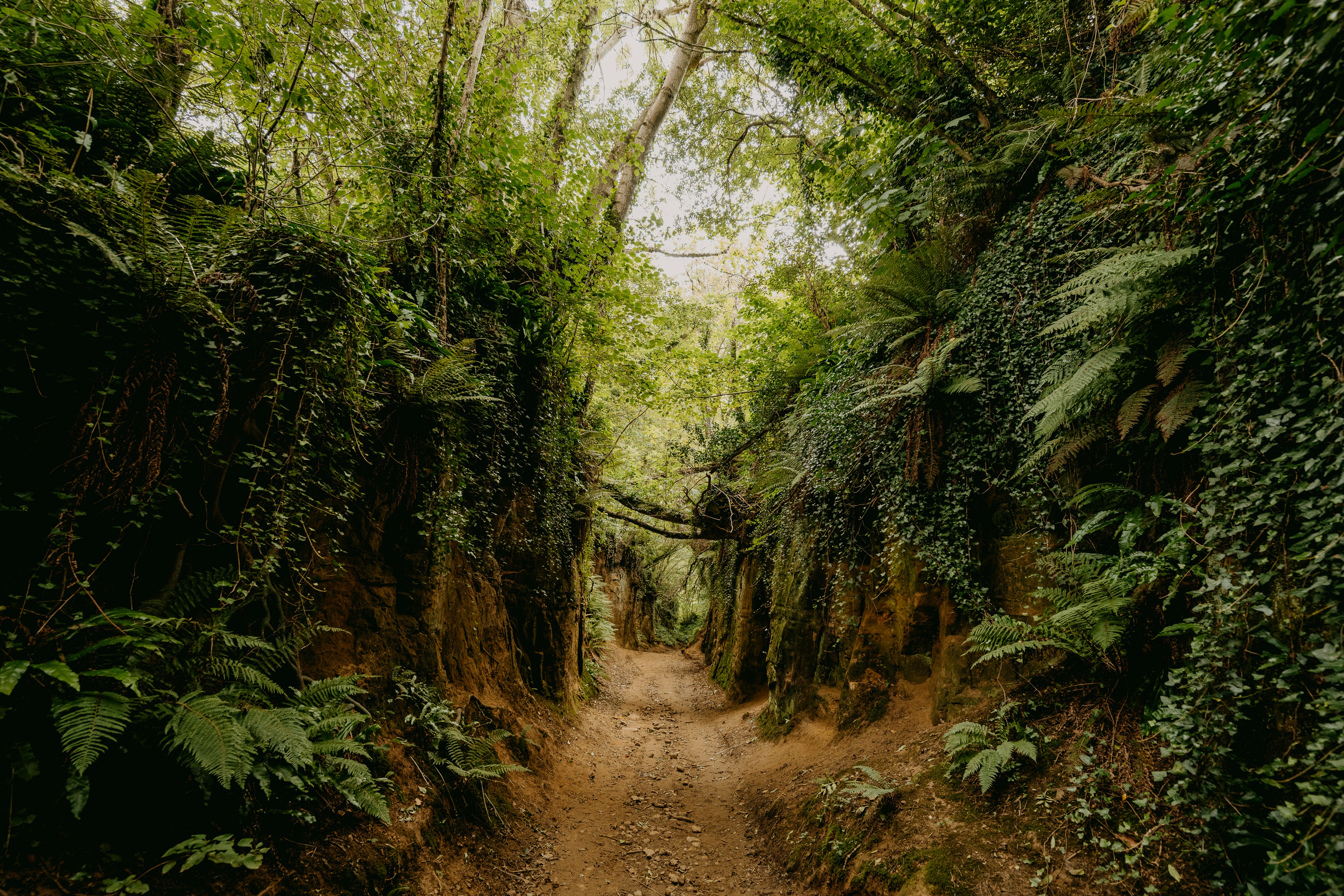 Photo by anniespratt