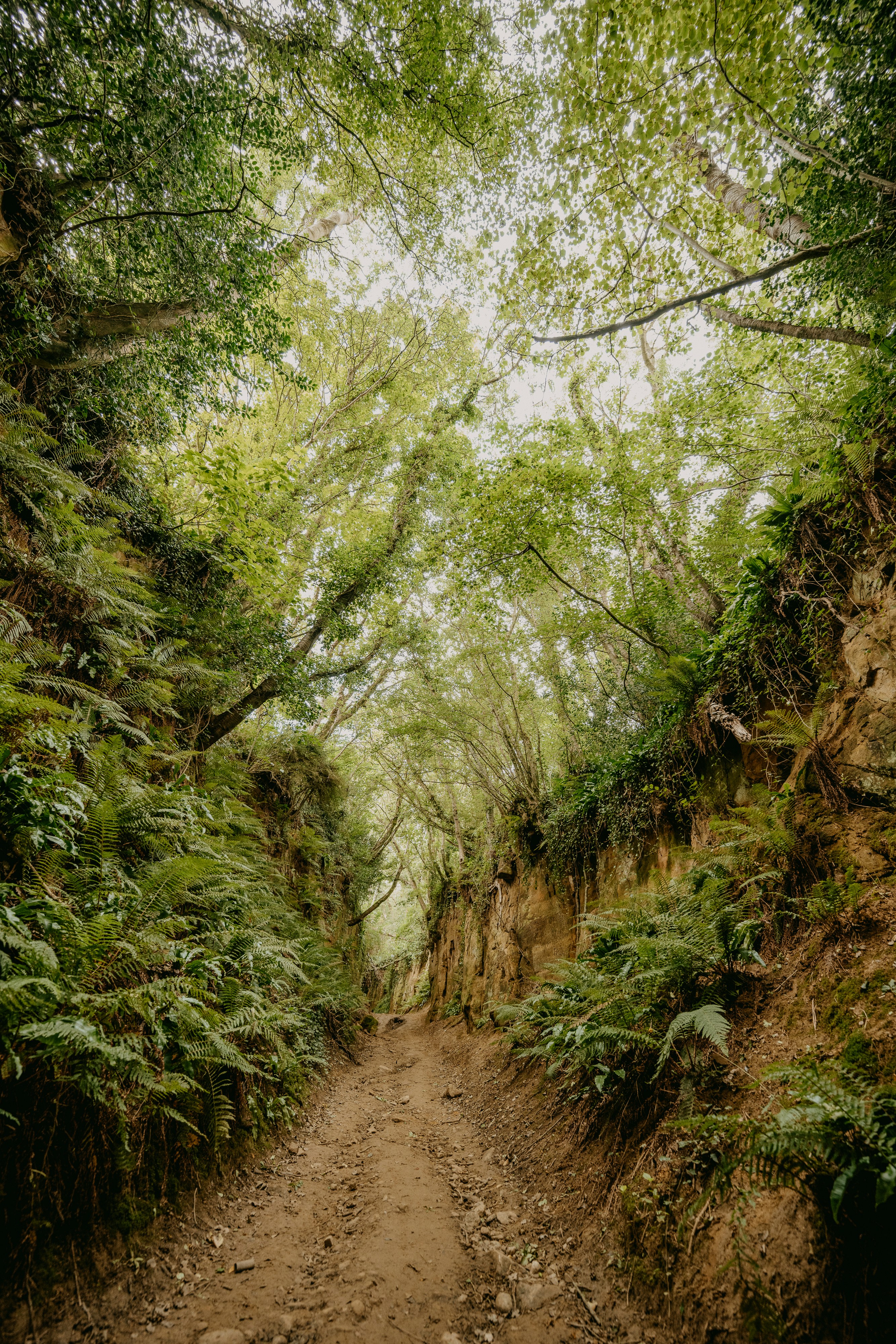 Photo by anniespratt