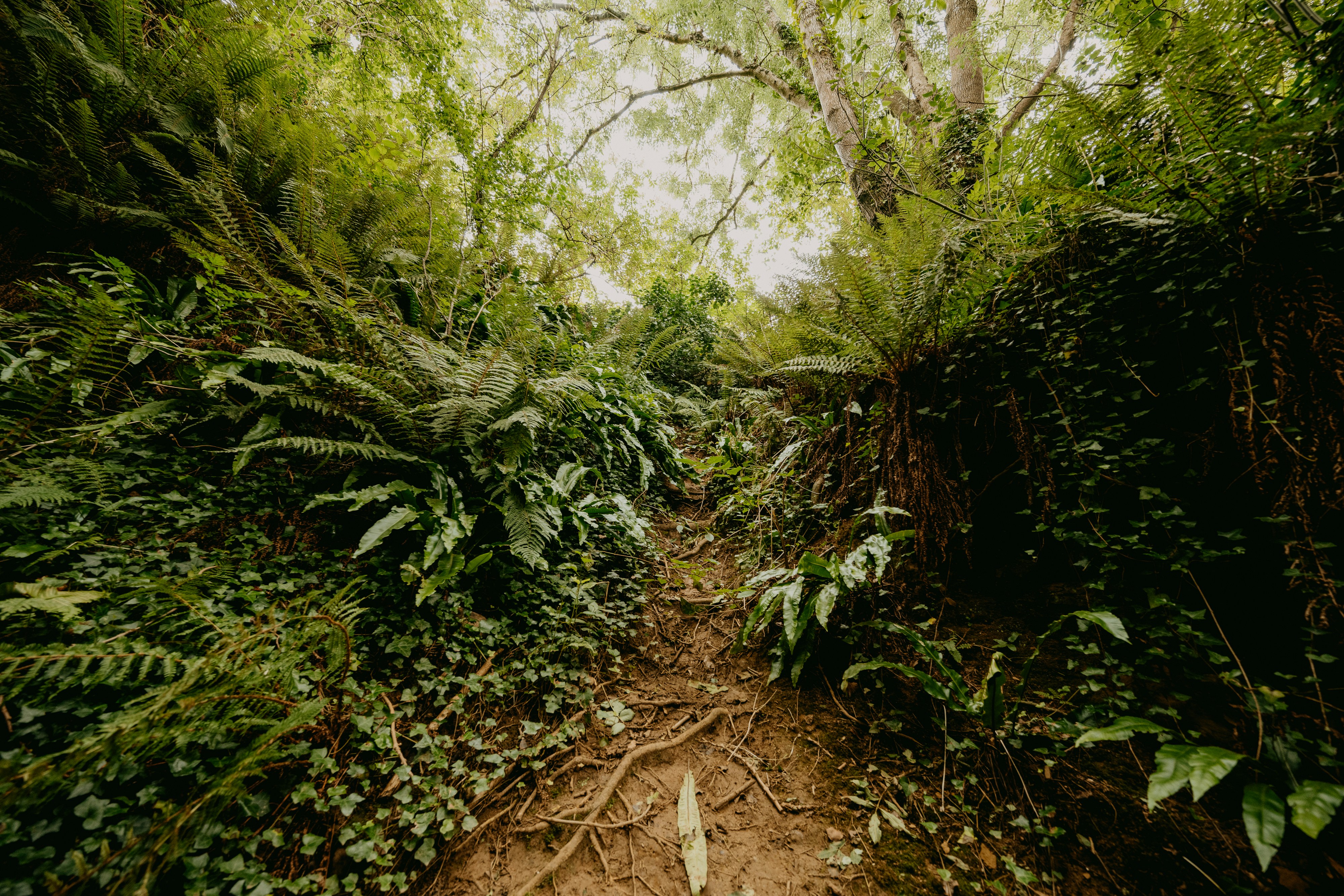 Photo by anniespratt